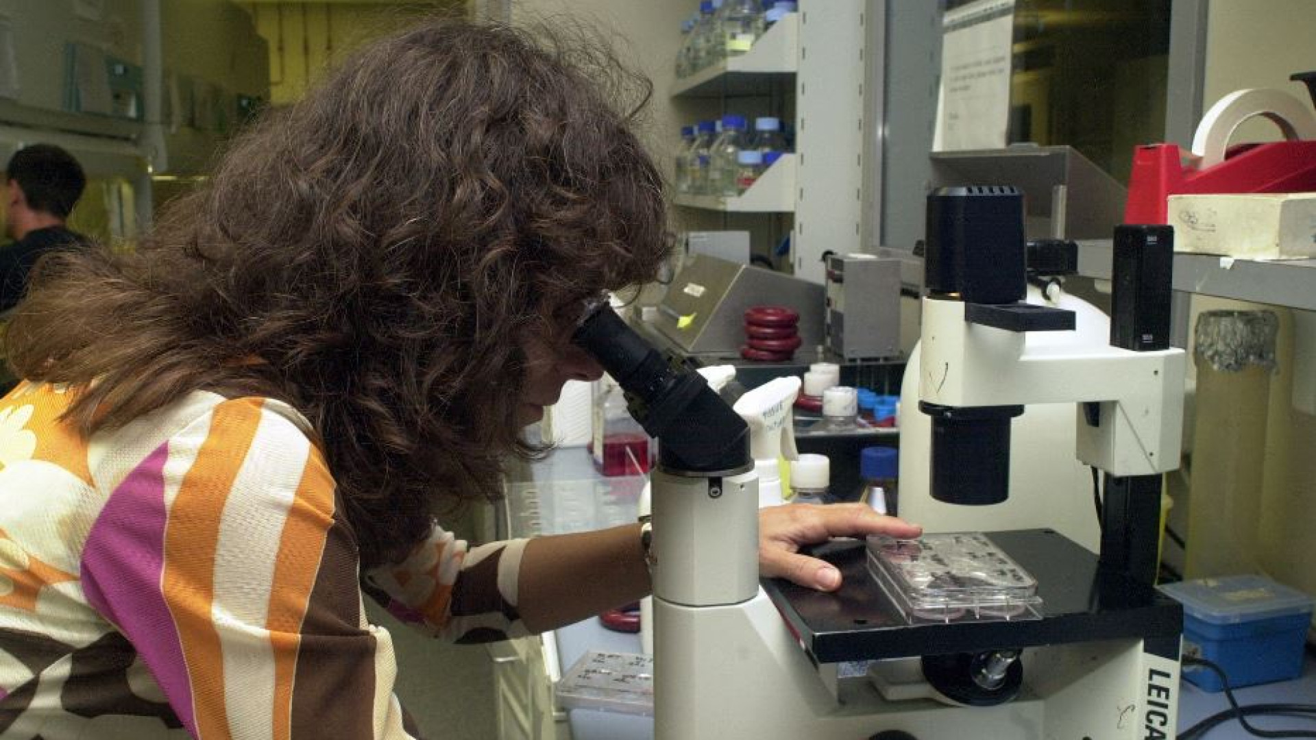 Immagine di In Italia il record europeo di donne sopravvissute a un tumore