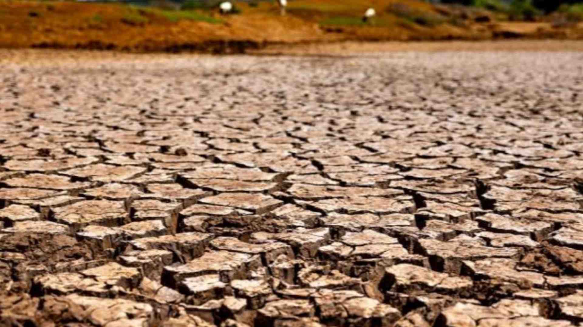 Immagine di Oggi la Giornata dell'ambiente. La sfida di fermare il deserto