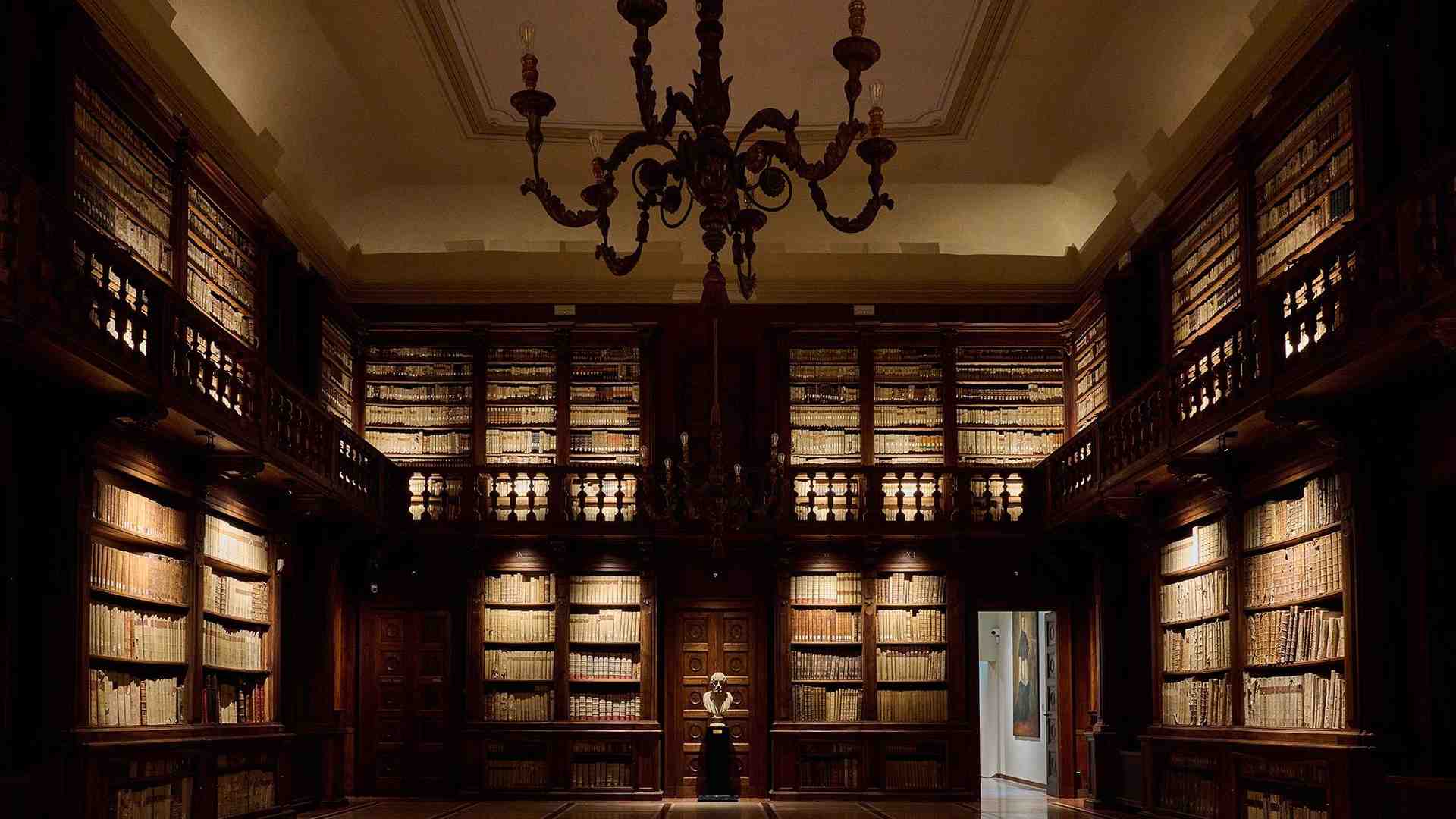 Immagine di Un'estate ricca di eventi alla Biblioteca Capitolare