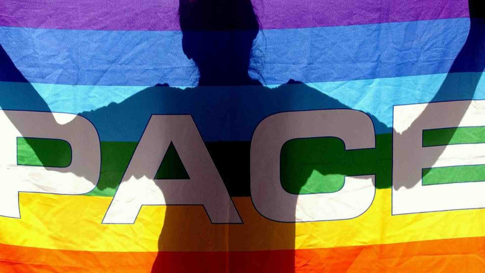 Immagine di Le armi e la diplomazia: cosa c'è nei programmi dei partiti