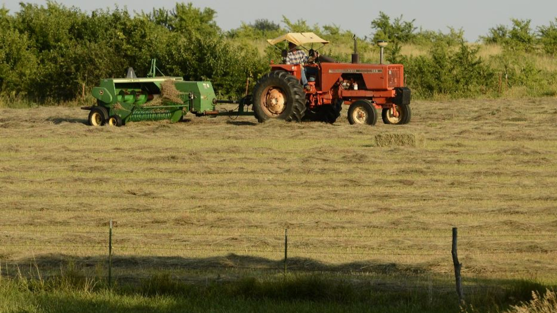Immagine di Campi e biodiversità: che cosa c'è nei programmi dei partiti