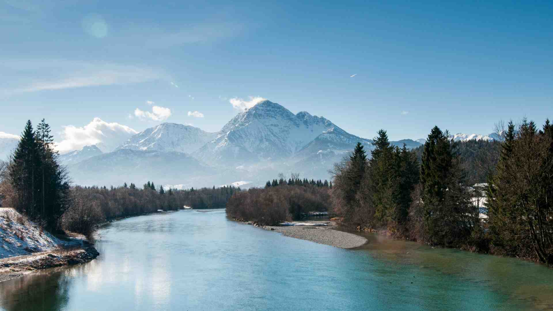Immagine di Quelli che da morti vogliono esser buttati nei fiumi