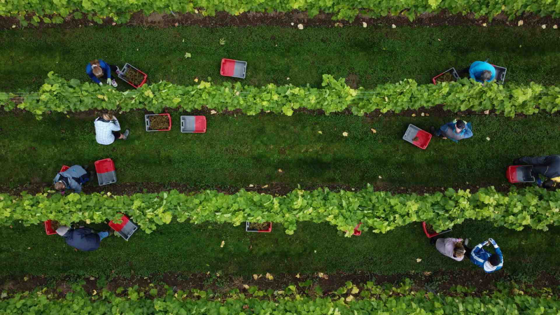 Immagine di Biodinamica e scienza: un problema di comunicazione?