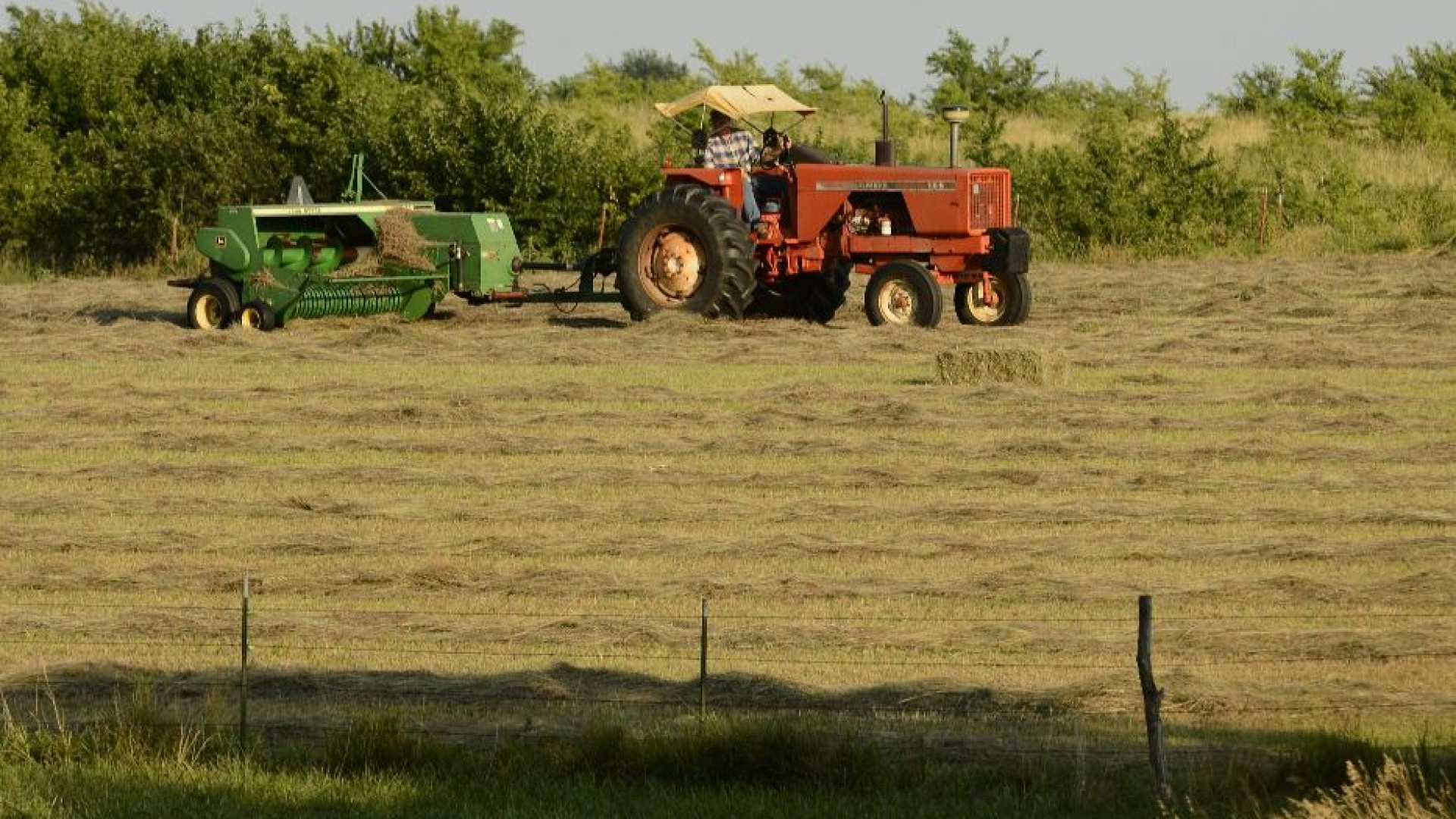 Immagine di Dalla pace all'ambiente fino al lavoro: i programmi per l'Europa