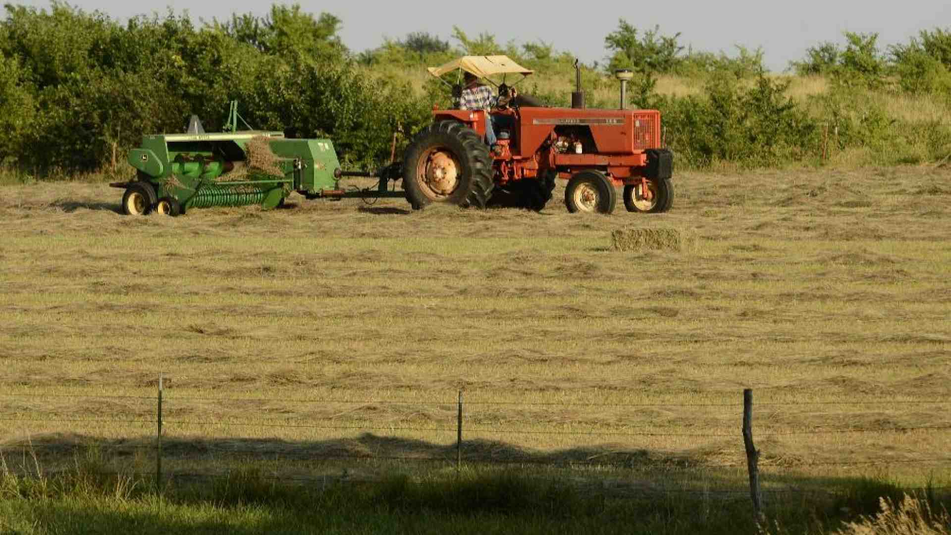 Immagine di Dalla pace all'ambiente fino al lavoro: i programmi per l'Europa