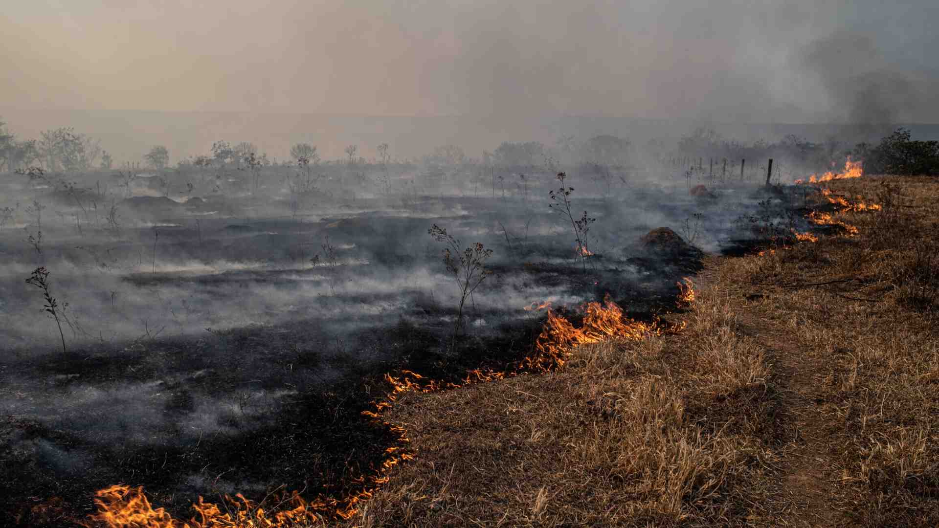 Immagine di Dopo la catastrofe e l’annichilimento. Cosa significa vivere da sopravvissuti