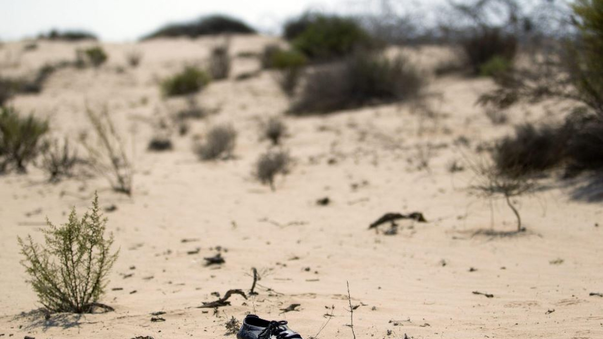 Immagine di Il video choc girato nel deserto: «Decine di morti tra Egitto e Libia»