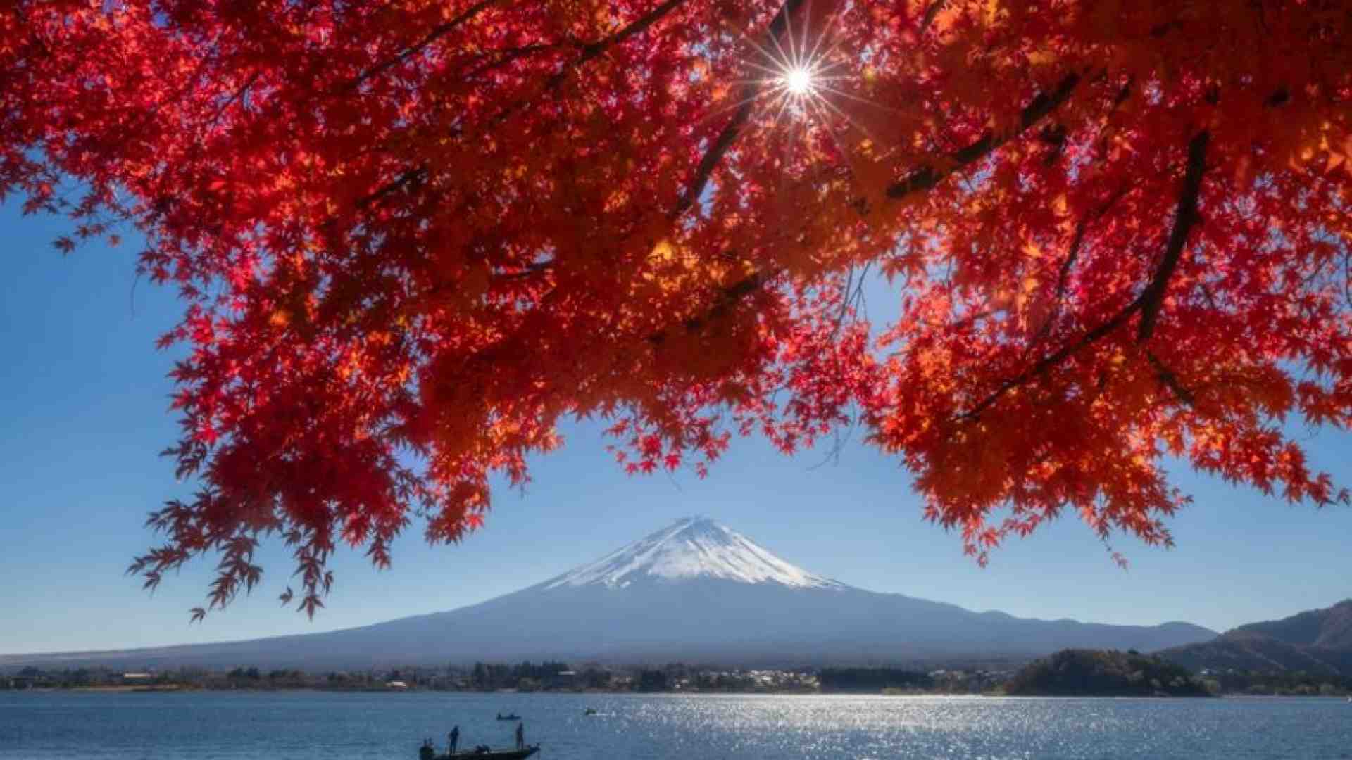 Immagine di Non solo ciliegi, con gli aceri il Giappone si tinge di rosso