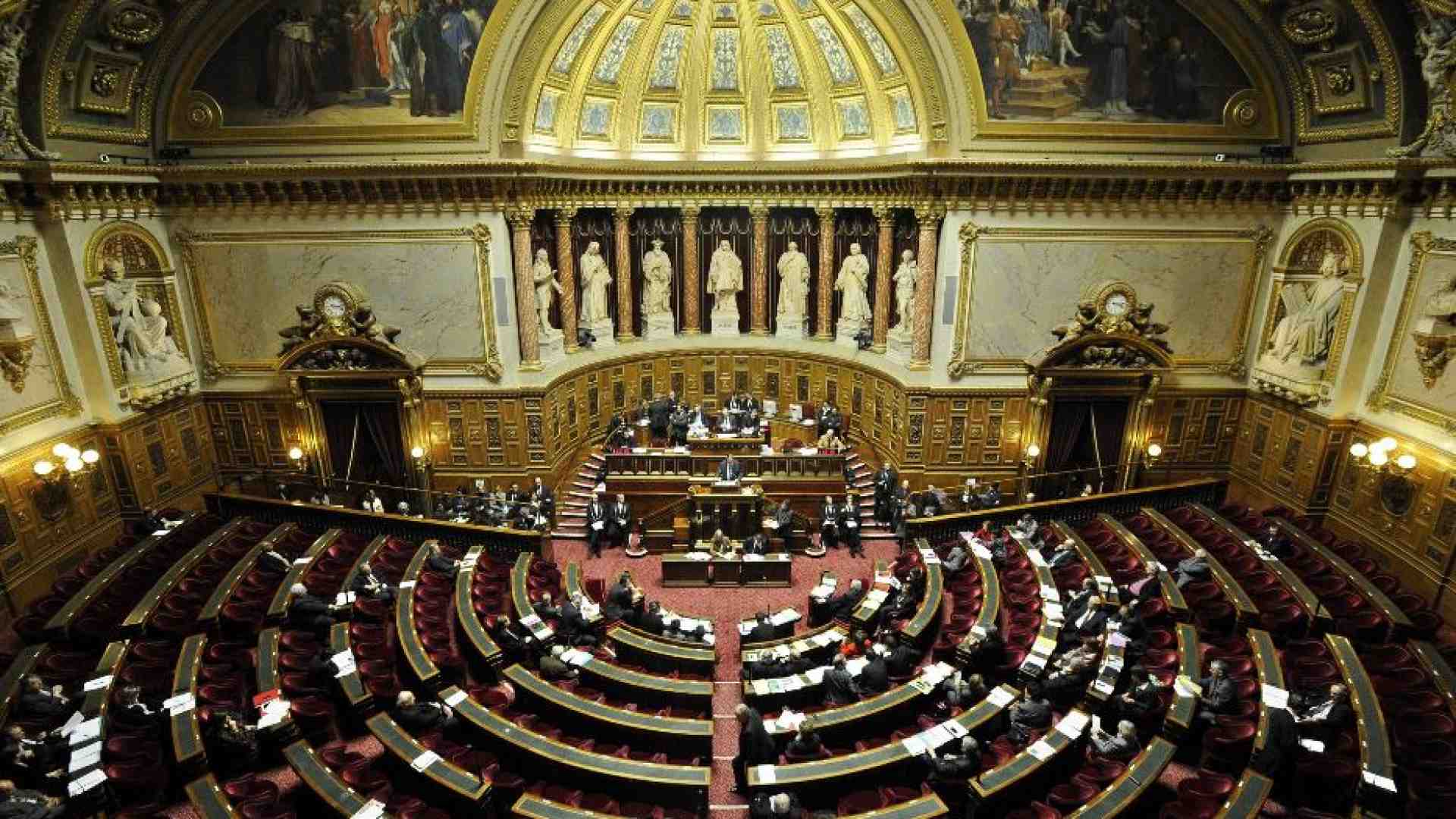 Immagine di Bloccanti della pubertà, anche la Francia ci ripensa?