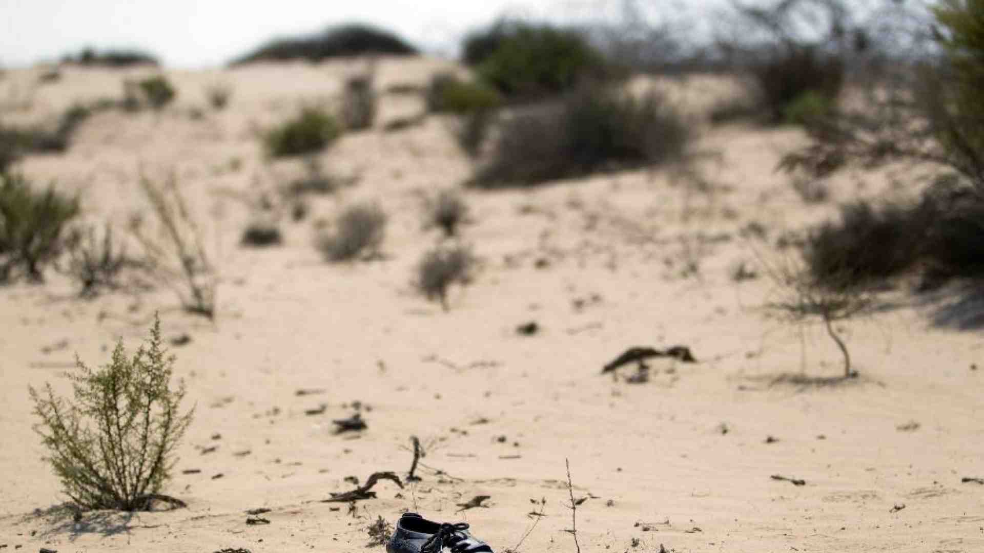 Immagine di Il video choc girato nel deserto: «Decine di morti tra Egitto e Libia»
