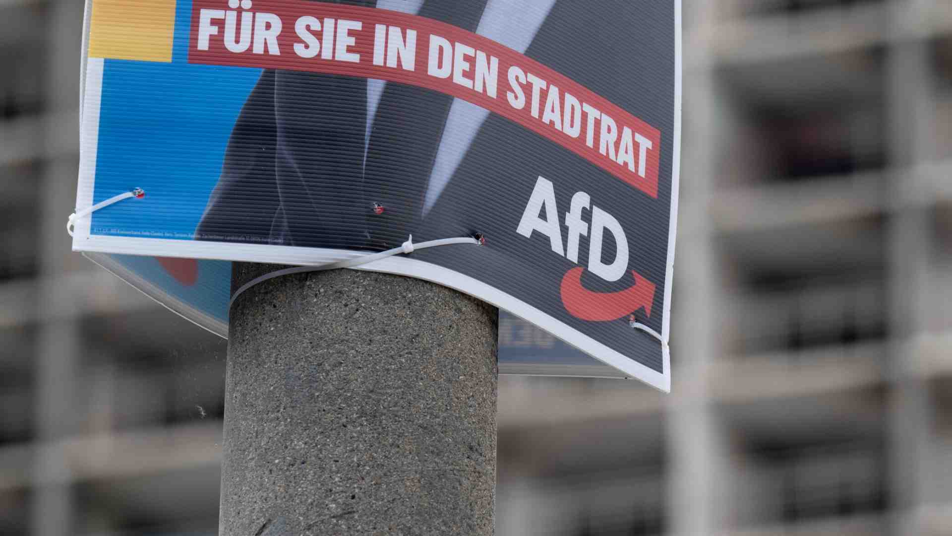 Immagine di Più che un partito, un movimento. Così l’AfD s’è fatta largo in Germania