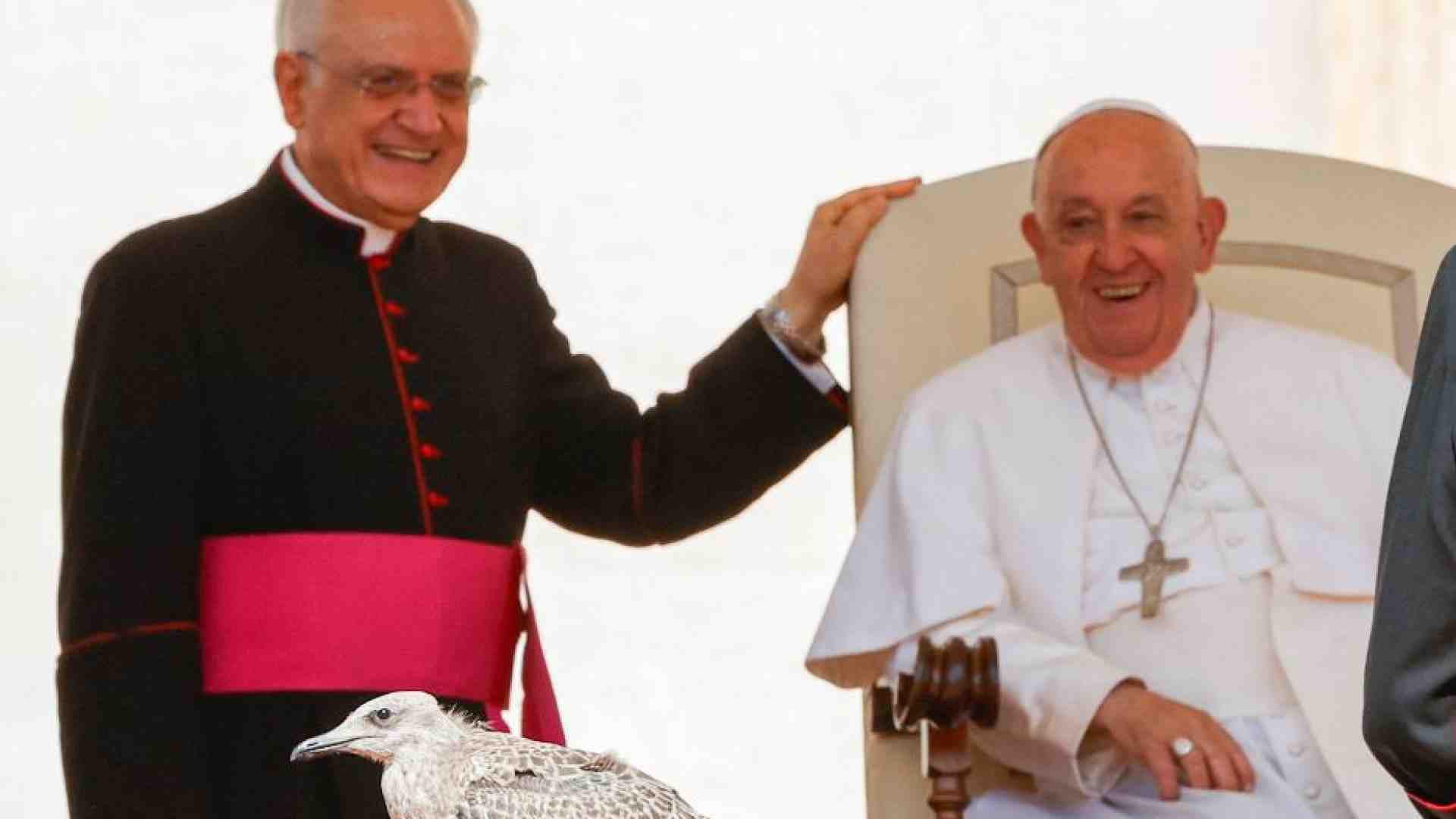 Immagine di Il Papa: omelie brevi, se no la gente si addormenta