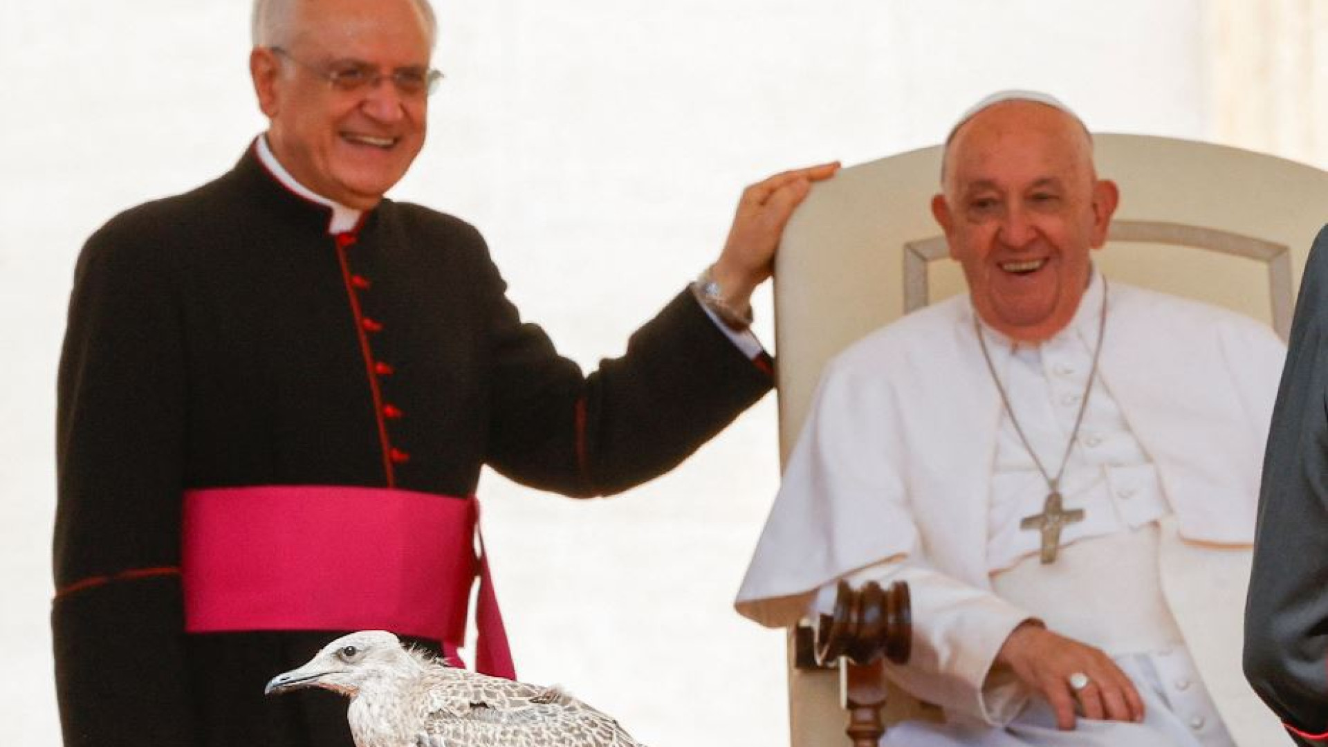 Immagine di Il Papa: omelie brevi, se no la gente si addormenta
