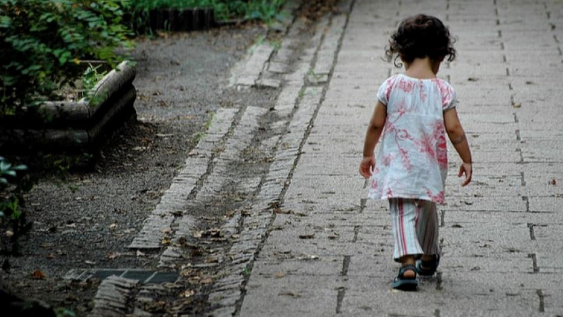 Immagine di Il numero di famiglie affidatarie è crollato in tutta Europa