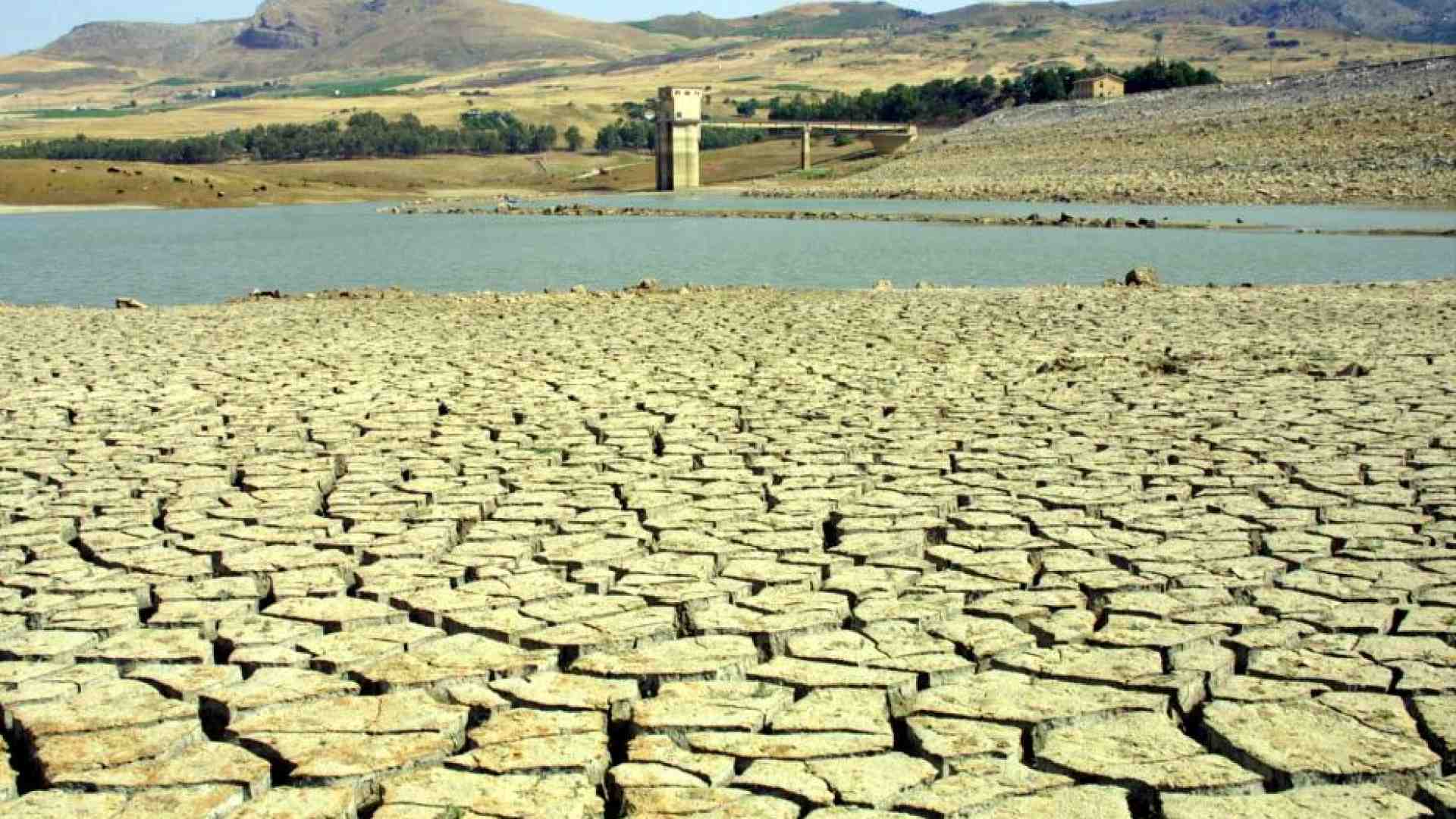 Immagine di La Sicilia rischia di diventare un deserto: non c'è più acqua
