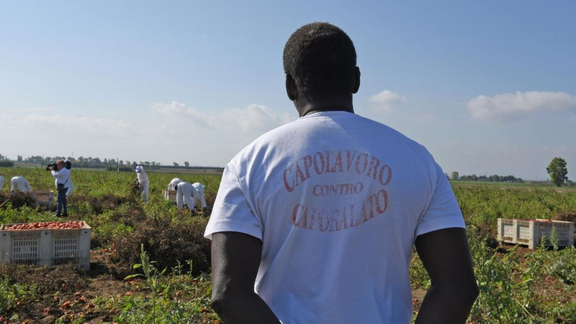 Immagine di Nei campi dell'Agro Pontino c'è un esercito di lavoratori fantasma
