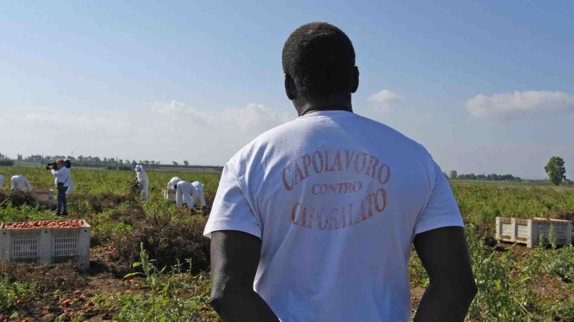 Immagine di Nei campi dell'Agro Pontino c'è un esercito di lavoratori fantasma