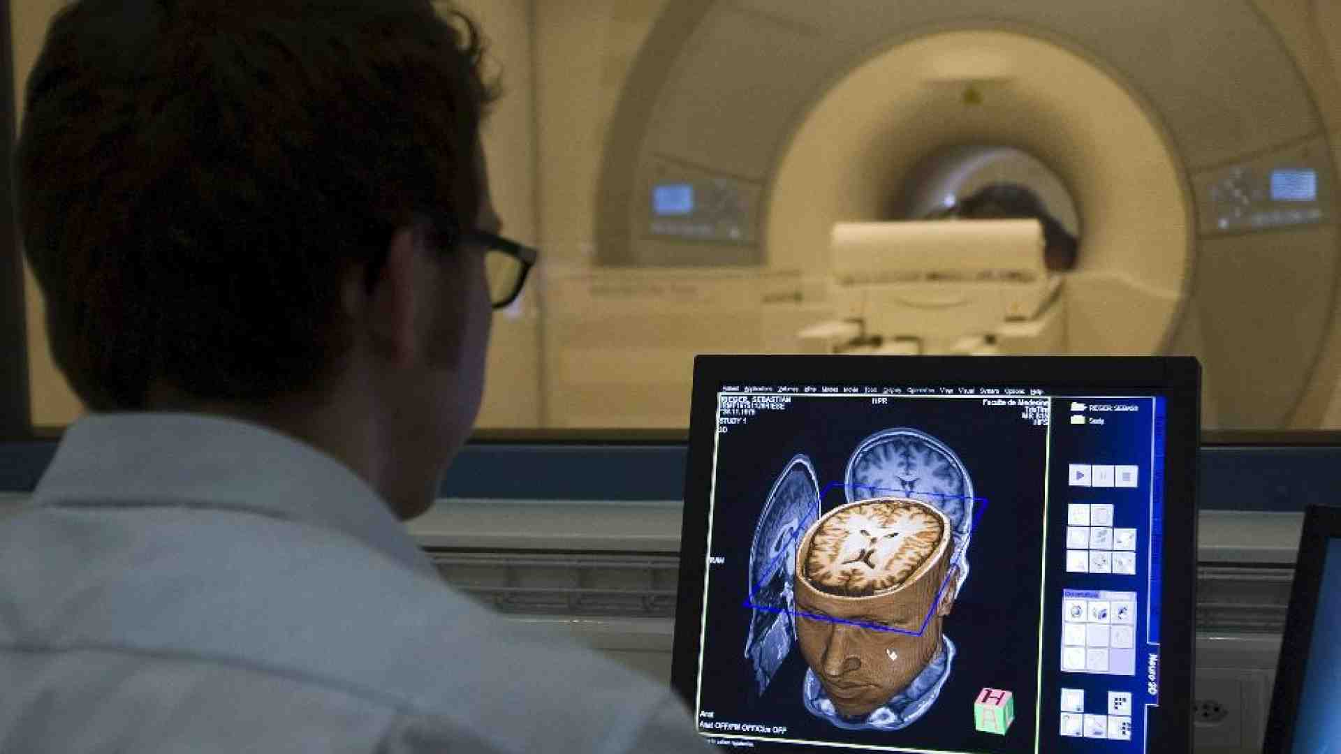 Immagine di Avatar digitali, diagnosi, farmaci. Nasce il Cern italiano del cervello