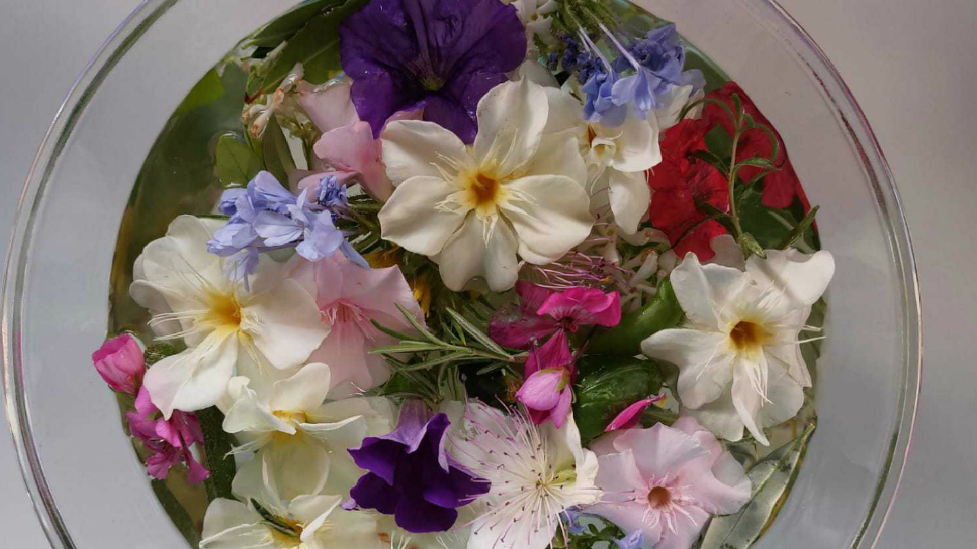 Immagine di La rugiada benedetta su erbe e fiori