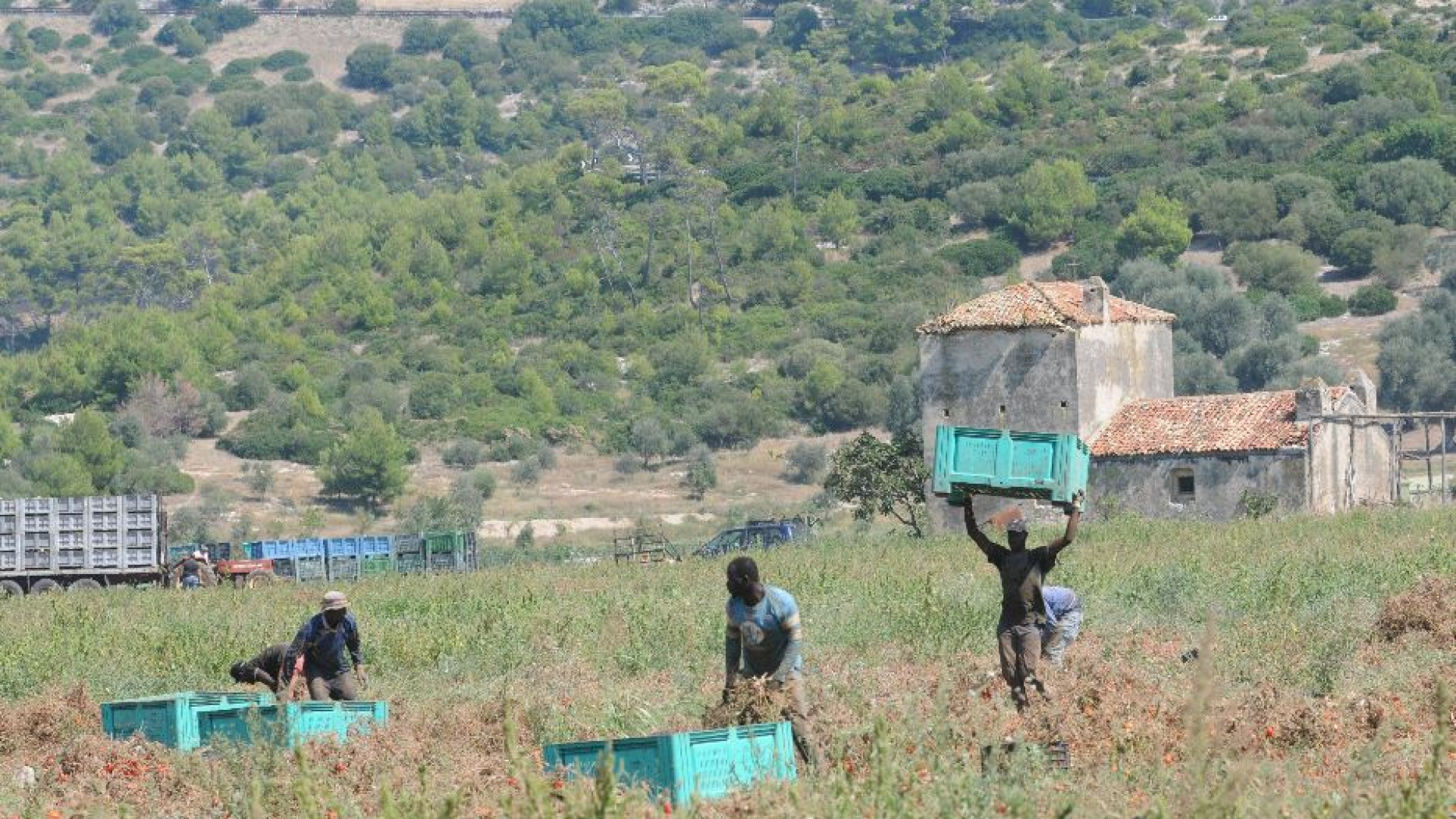 Immagine di Irregolari nei campi? Solo uno su quattro