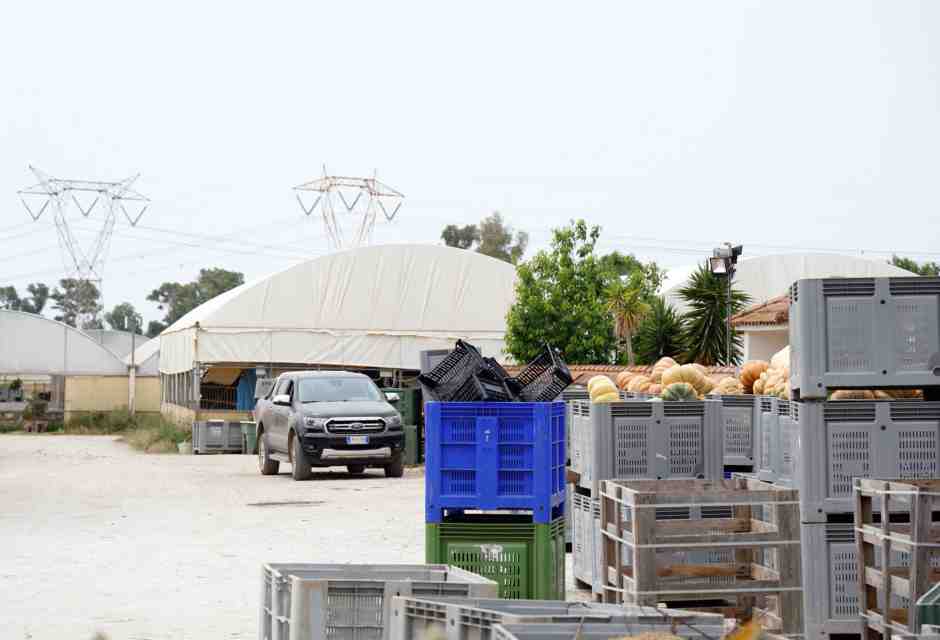 L'Azienda agricola Lovato dove lavorava Satnam Singh (Ansa) <br />