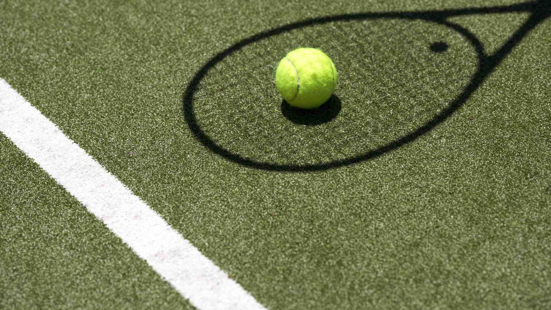 Immagine di Erba italiana sempre più verde affacciata sul Po