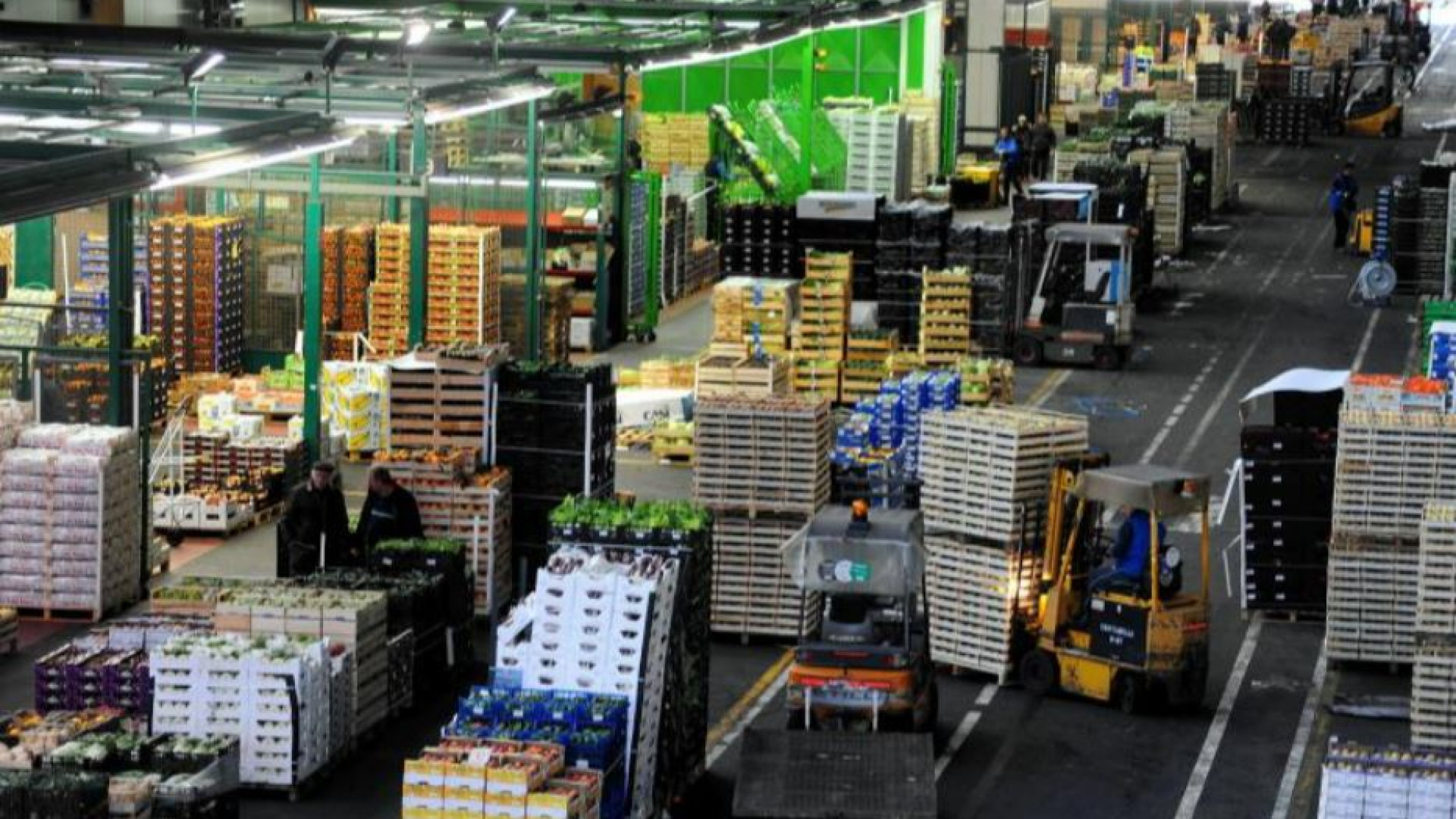 Immagine di Il caporalato arriva in tavola: così resiste la filiera del cibo senza regole