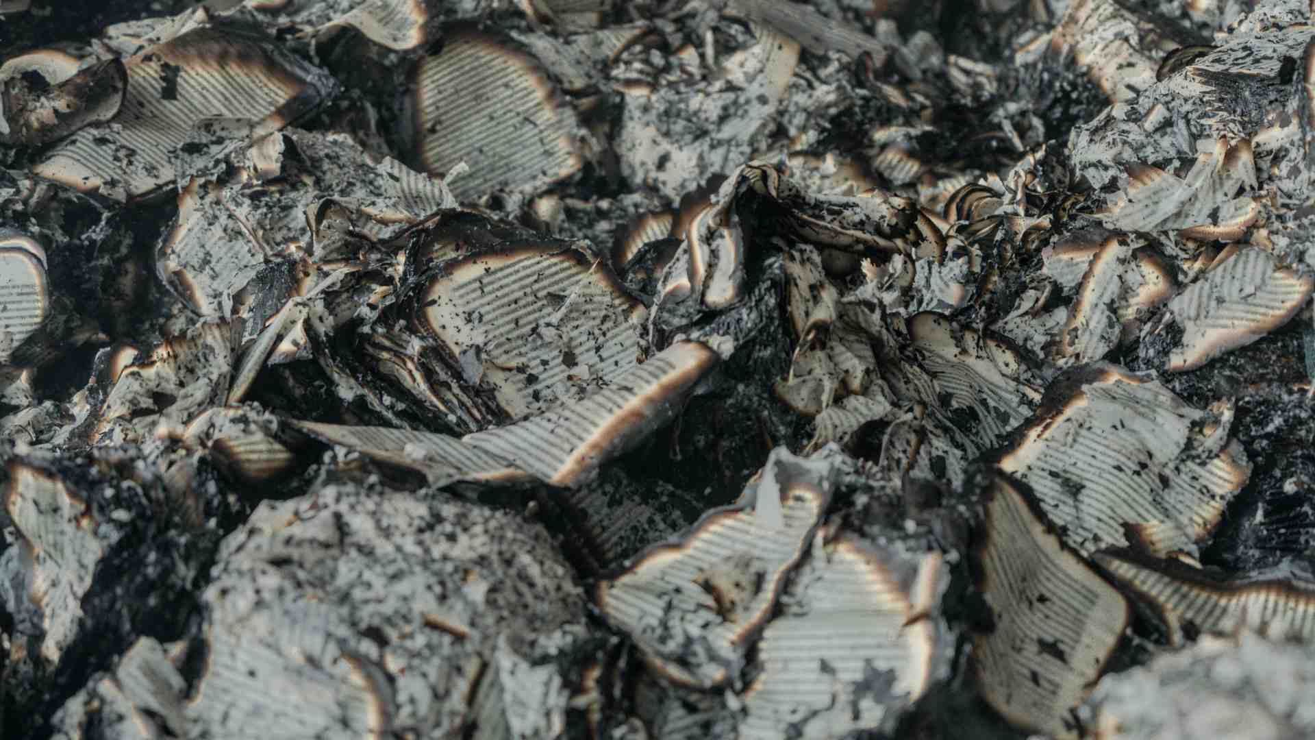 Immagine di Le bombe su Kharkiv bruciano la cultura ucraina: è lo schema russo, da Mariupol a Chernihiv