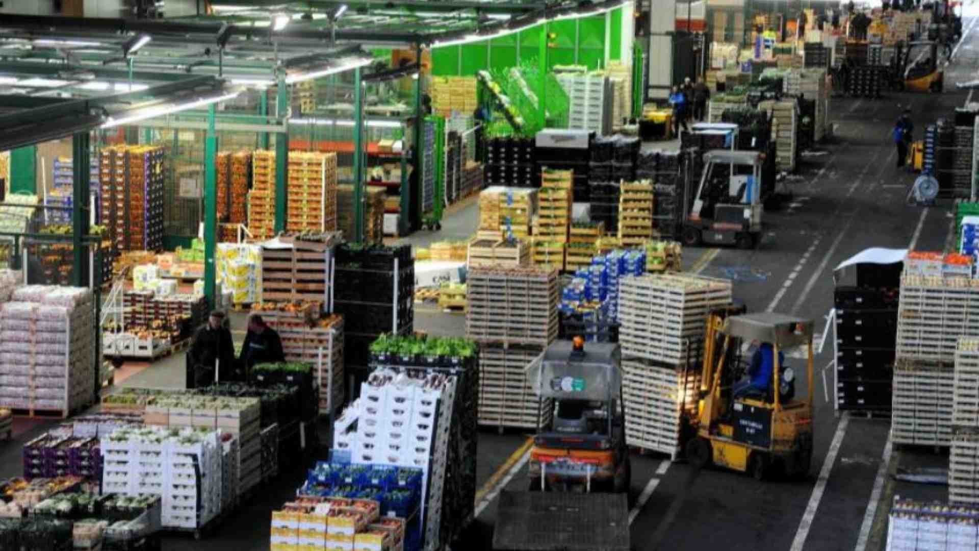 Immagine di Il caporalato arriva in tavola: così resiste la filiera del cibo senza regole