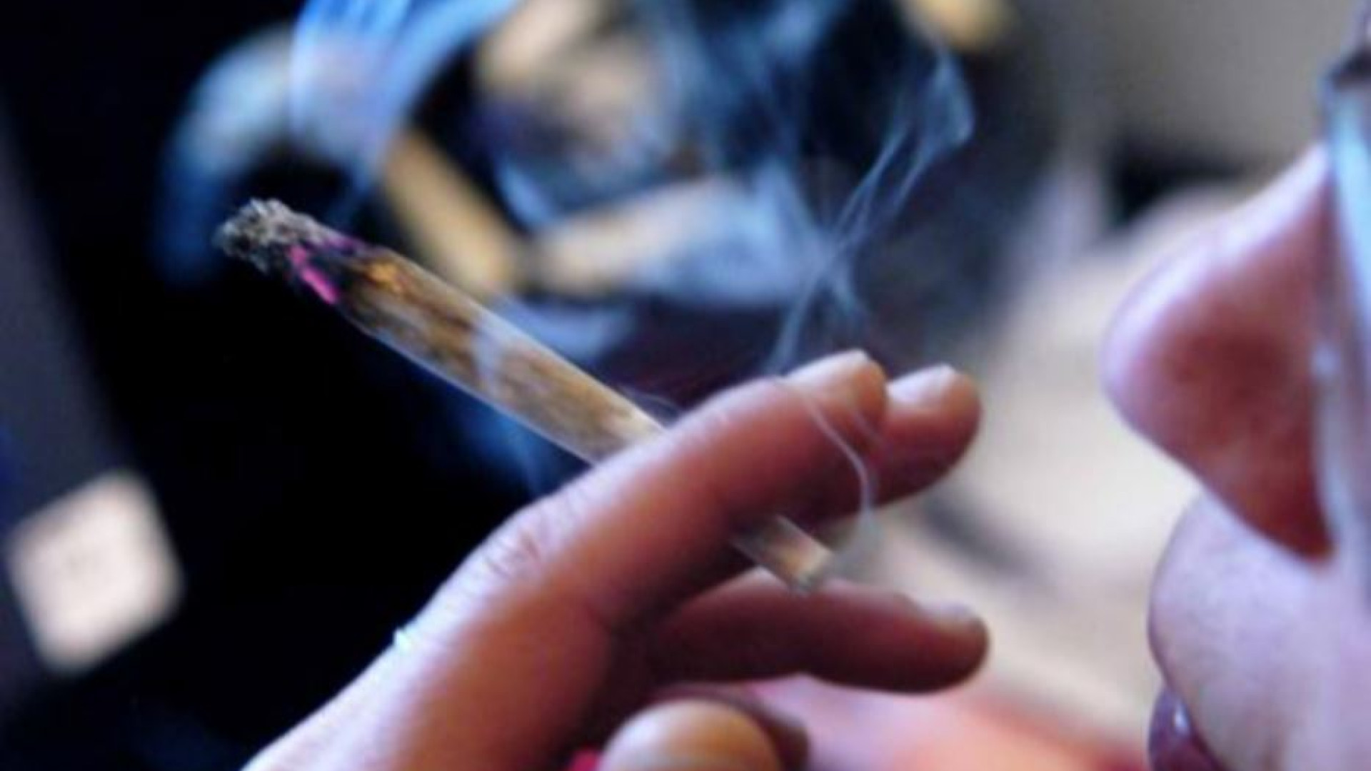Immagine di Droga, nel mondo 292 milioni di consumatori: aumentati del 20% in 10 anni