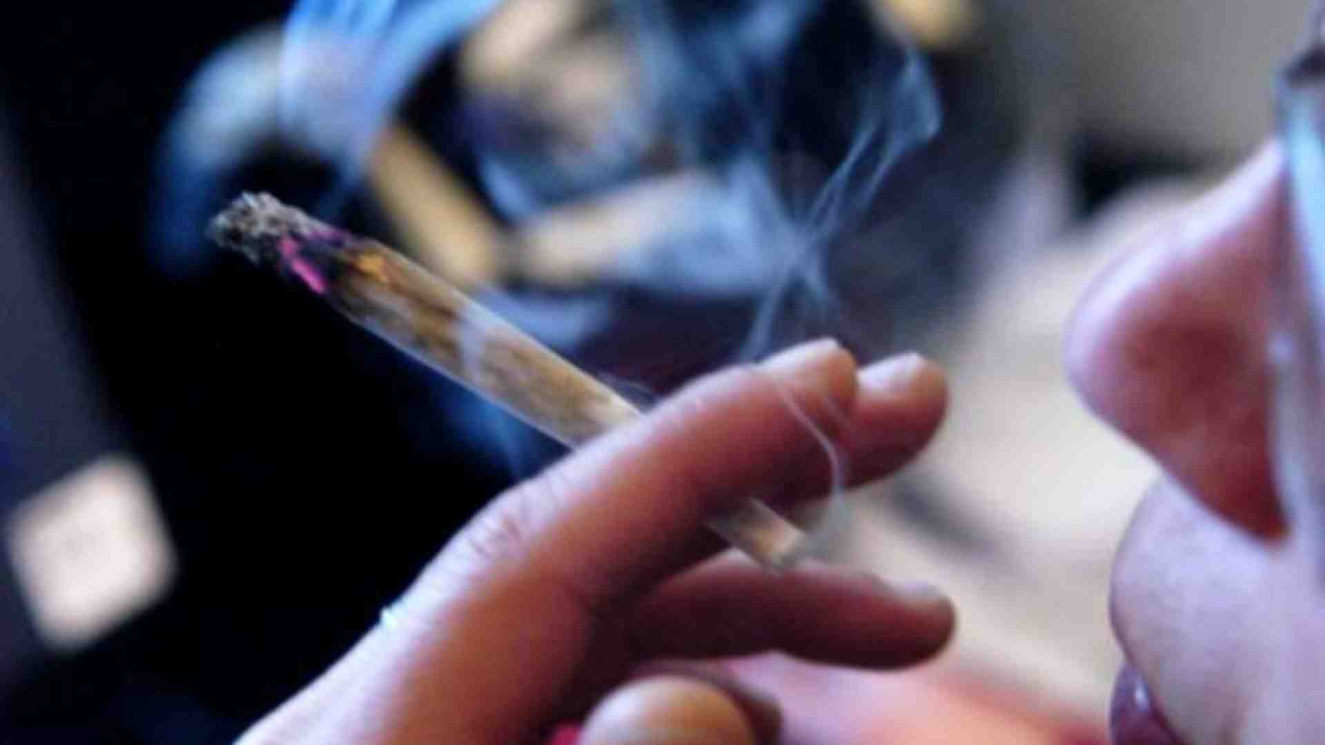 Immagine di Droga, nel mondo 292 milioni di consumatori: aumentati del 20% in 10 anni