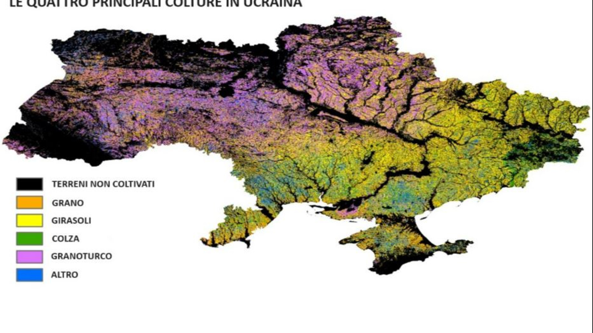 Immagine di La guerra ha svuotato il granaio d’Europa: Ucraina, perso un quinto dei terreni