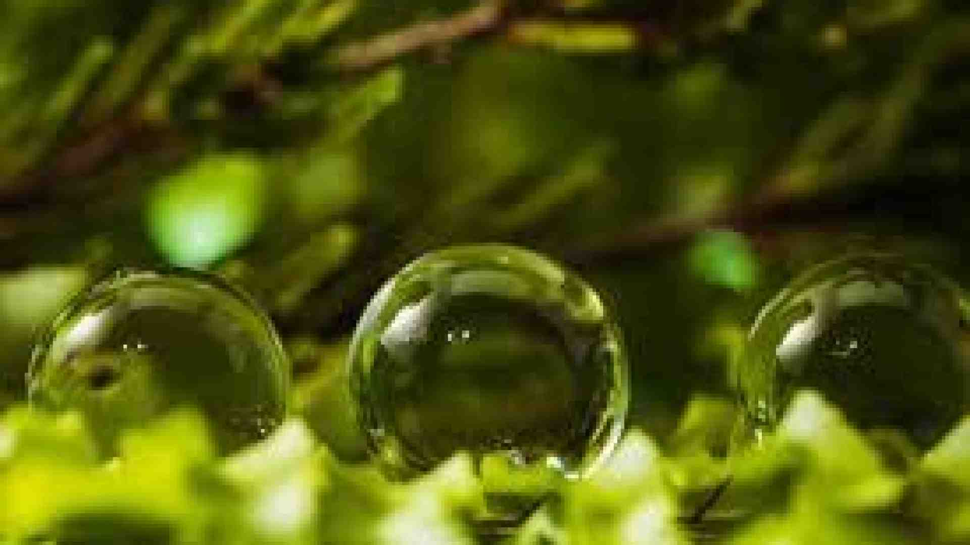 Immagine di Green Deal alla prova della nuova Ue