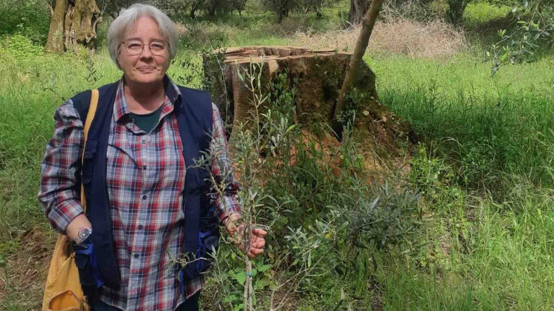 Immagine di Quelle minacce all'imprenditrice agricola