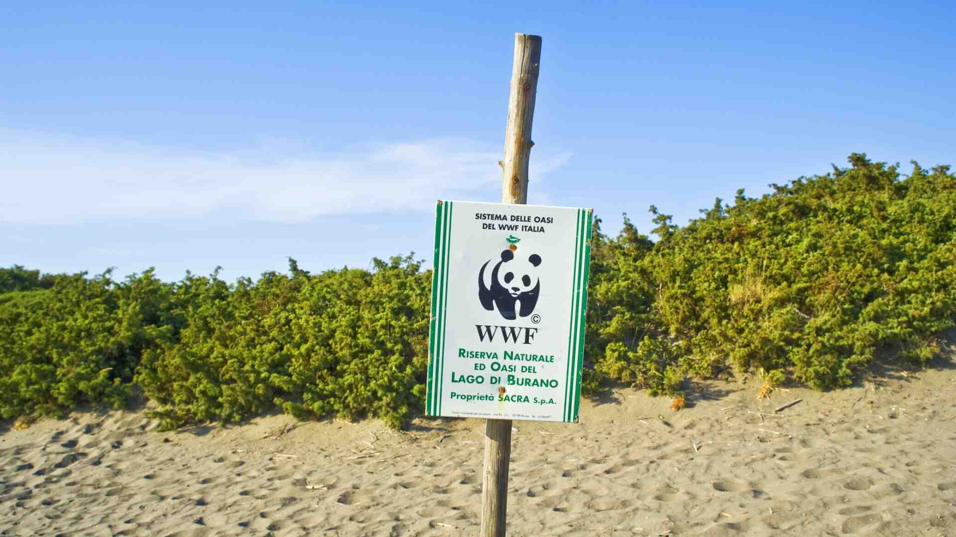 Immagine di Le stime del Wwf sulla diminuzione della diversità dei vertebrati dovranno essere riviste