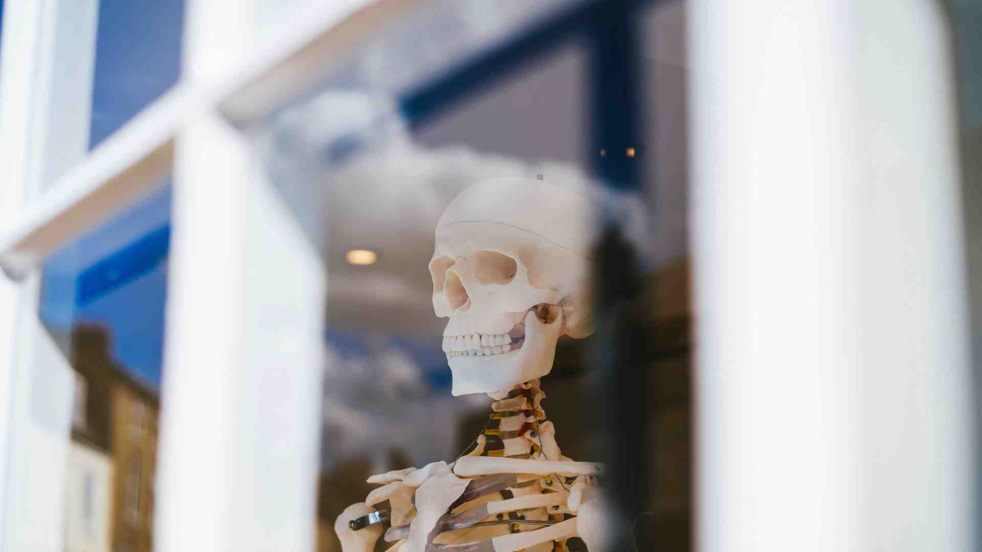 Immagine di Il funerale del patologo in località segreta (si teme che trafughino la salma)