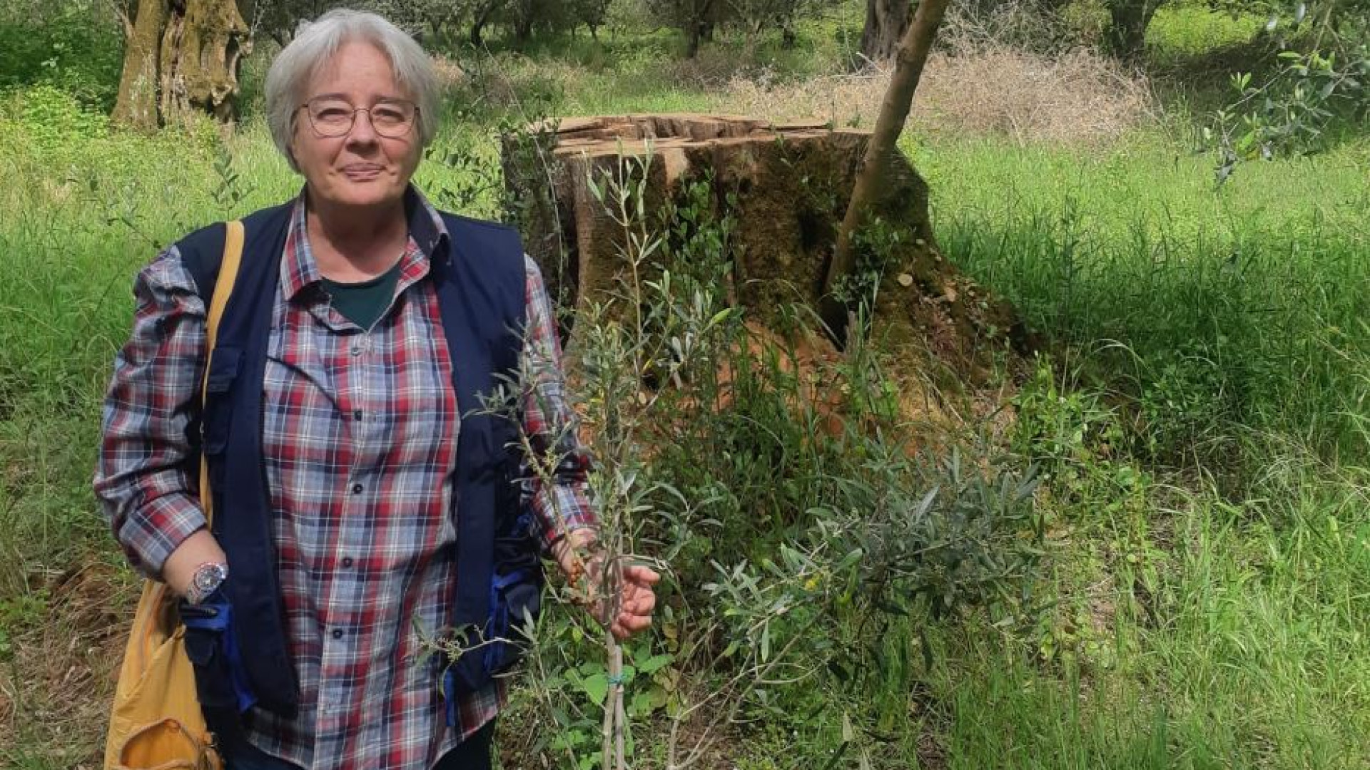 Immagine di Quelle minacce all'imprenditrice agricola