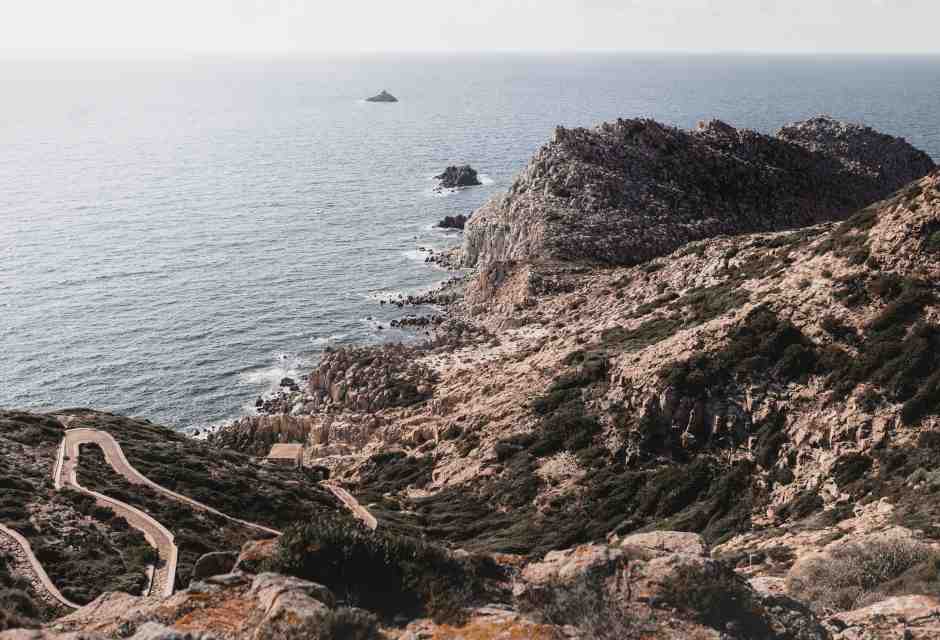Una terra solitaria che ora ti pare salva. Una lettera da lontano