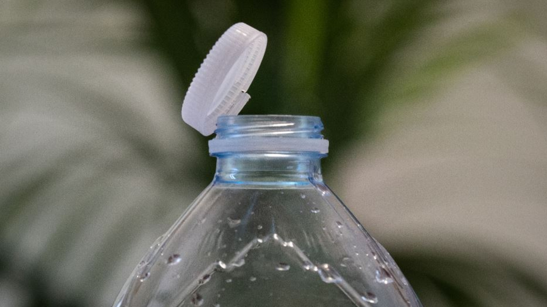 Immagine di La direttiva europea (che fa litigare) sui tappi di plastica