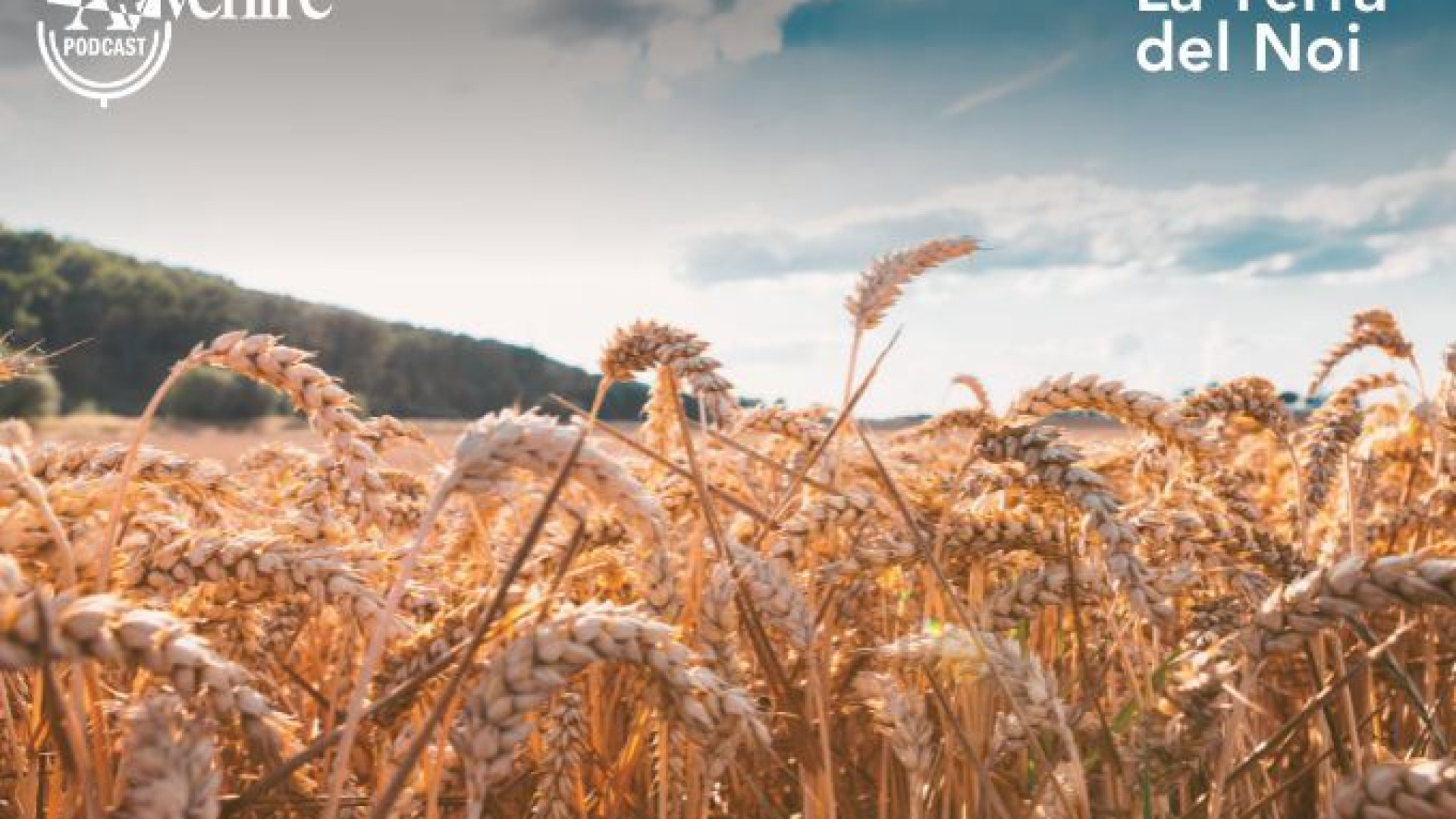 Immagine di La Terra del Noi, viaggio nell'economia civile di Avvenire e Federcasse