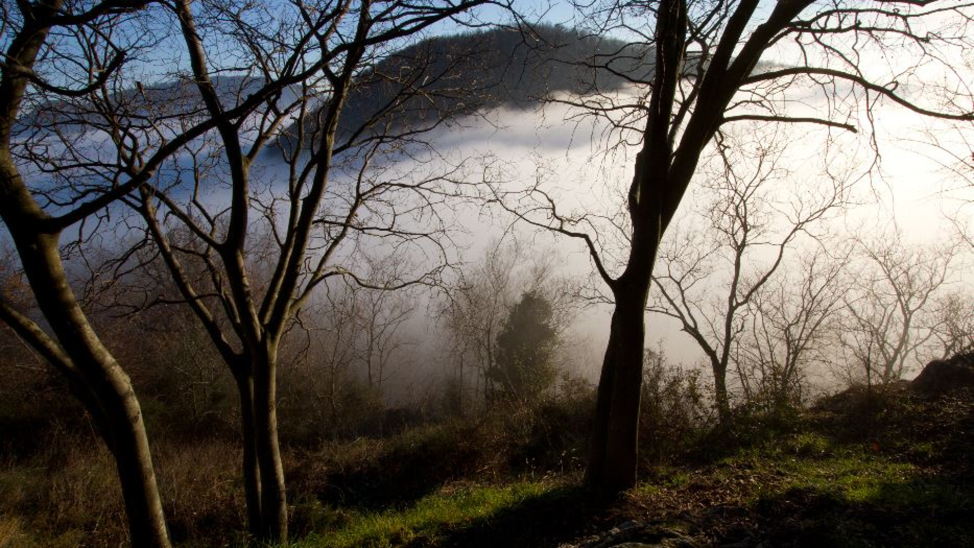 Immagine di I Colli Euganei entrano nel patrimonio della biosfera Unesco