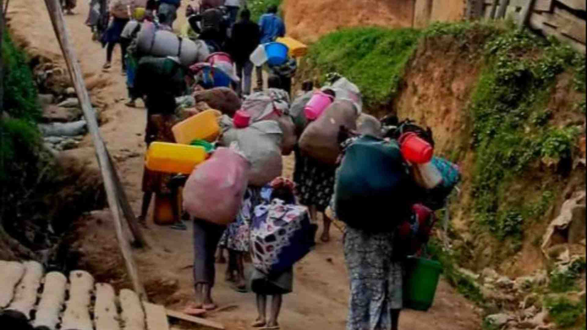 Immagine di In Congo il cacao è il nuovo oro. Massacri per rubare il raccolto