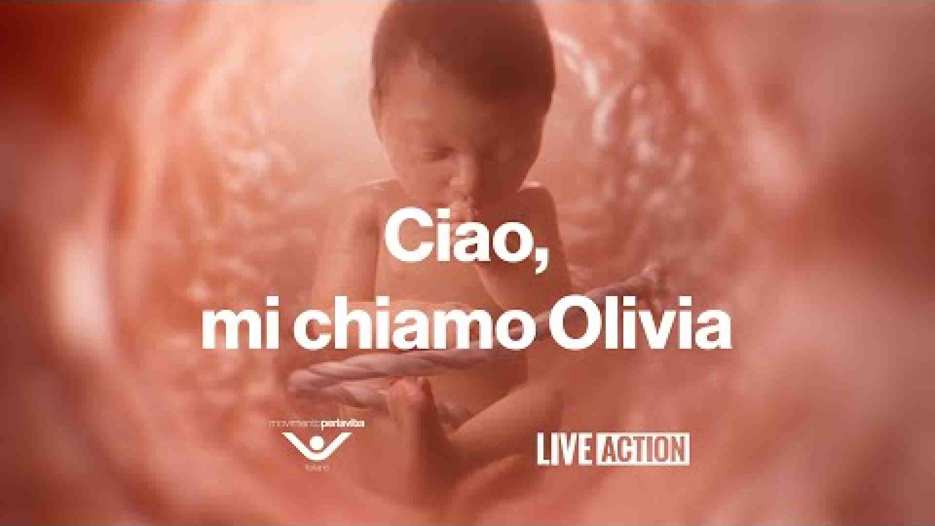 Immagine di Chi è Baby Olivia, la più piccola “partecipante”