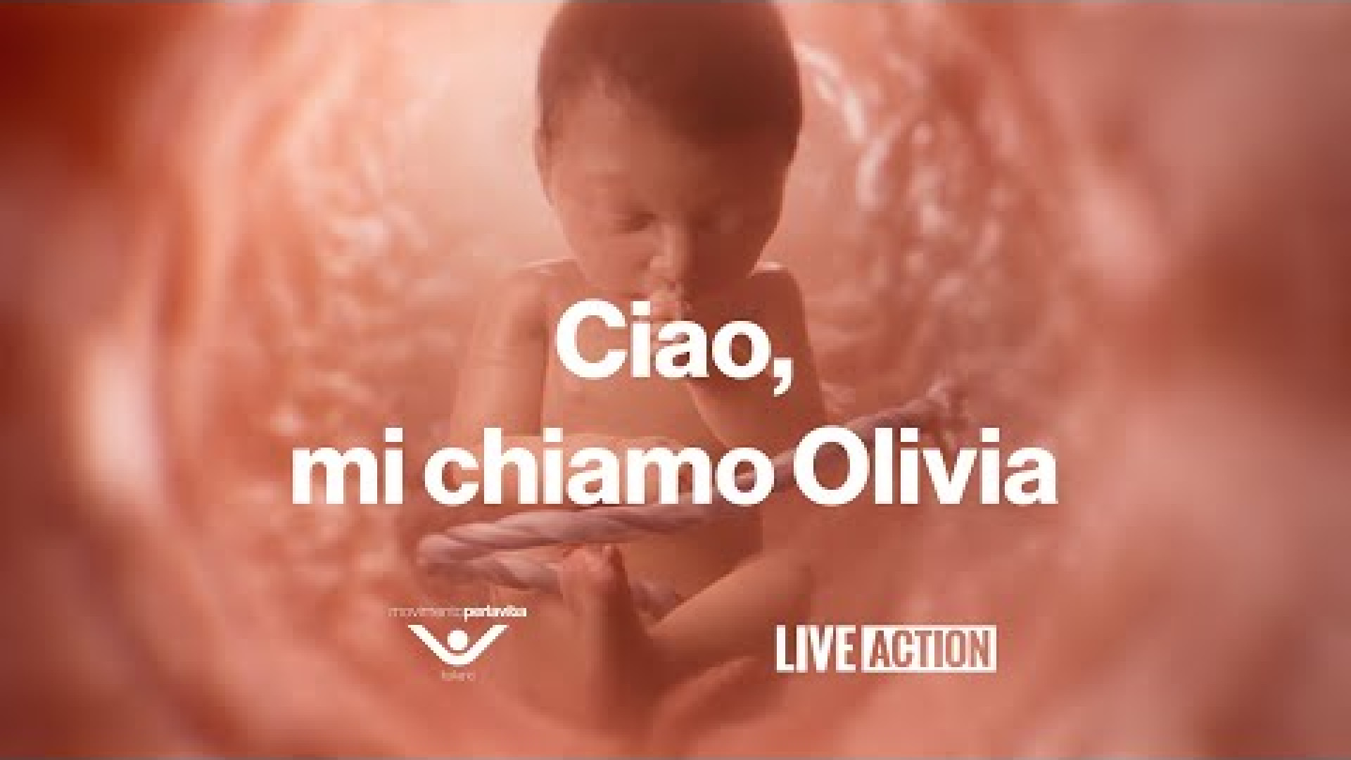 Immagine di Chi è Baby Olivia, la più piccola “partecipante”
