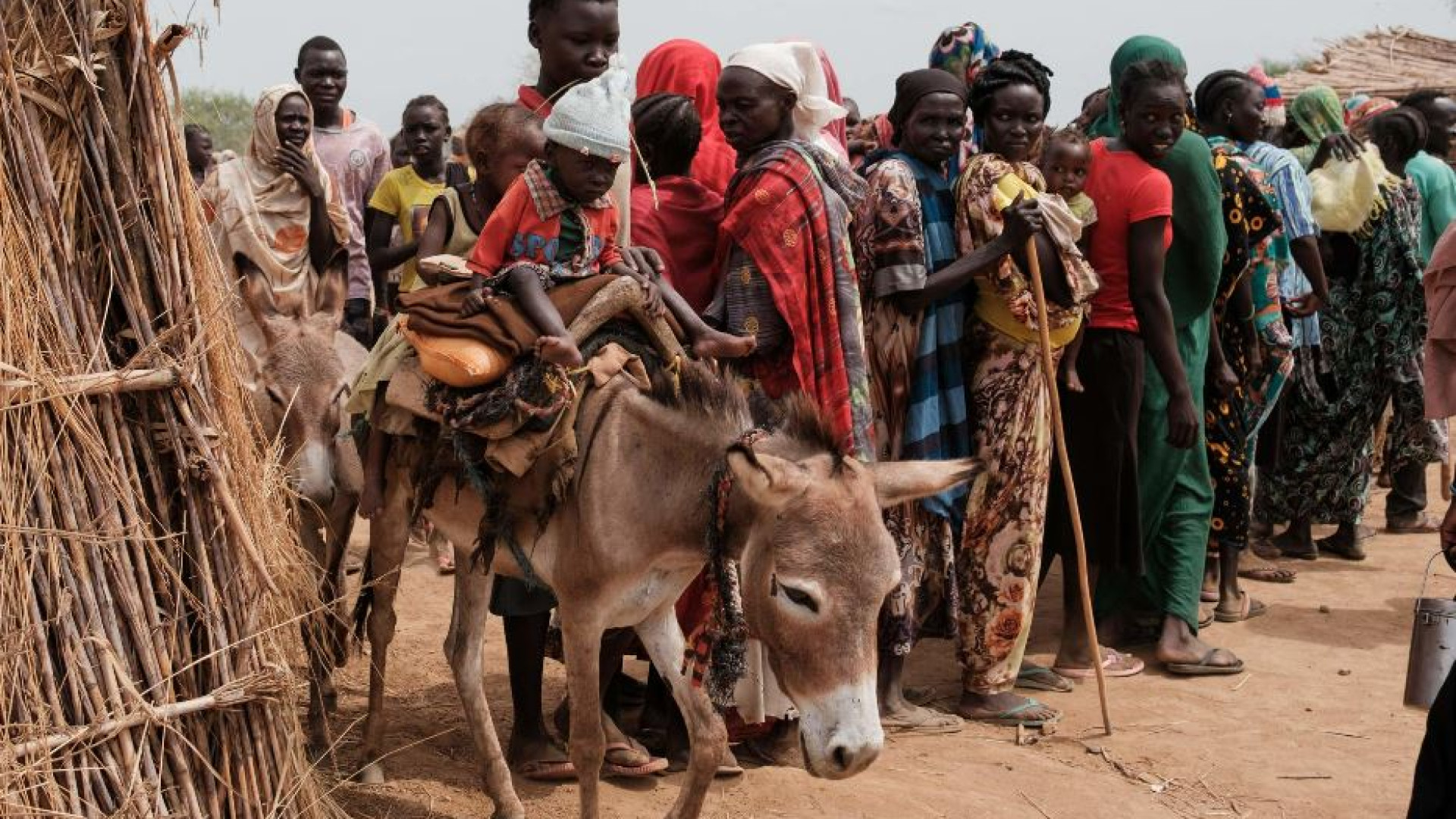 Immagine di Corno d'Africa, la trappola per un terzo dei profughi del mondo