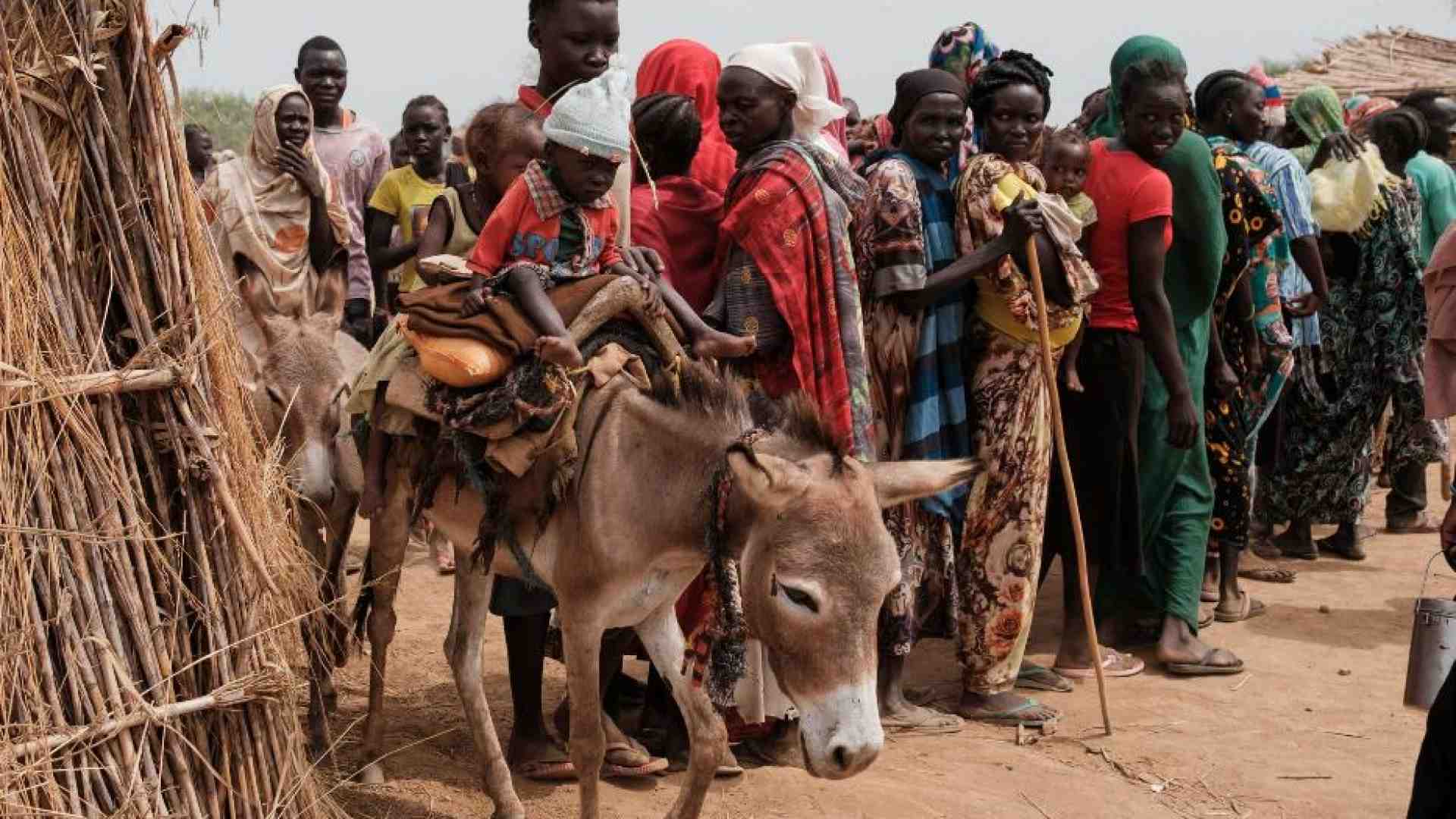 Immagine di Corno d'Africa, la trappola per un terzo dei profughi del mondo