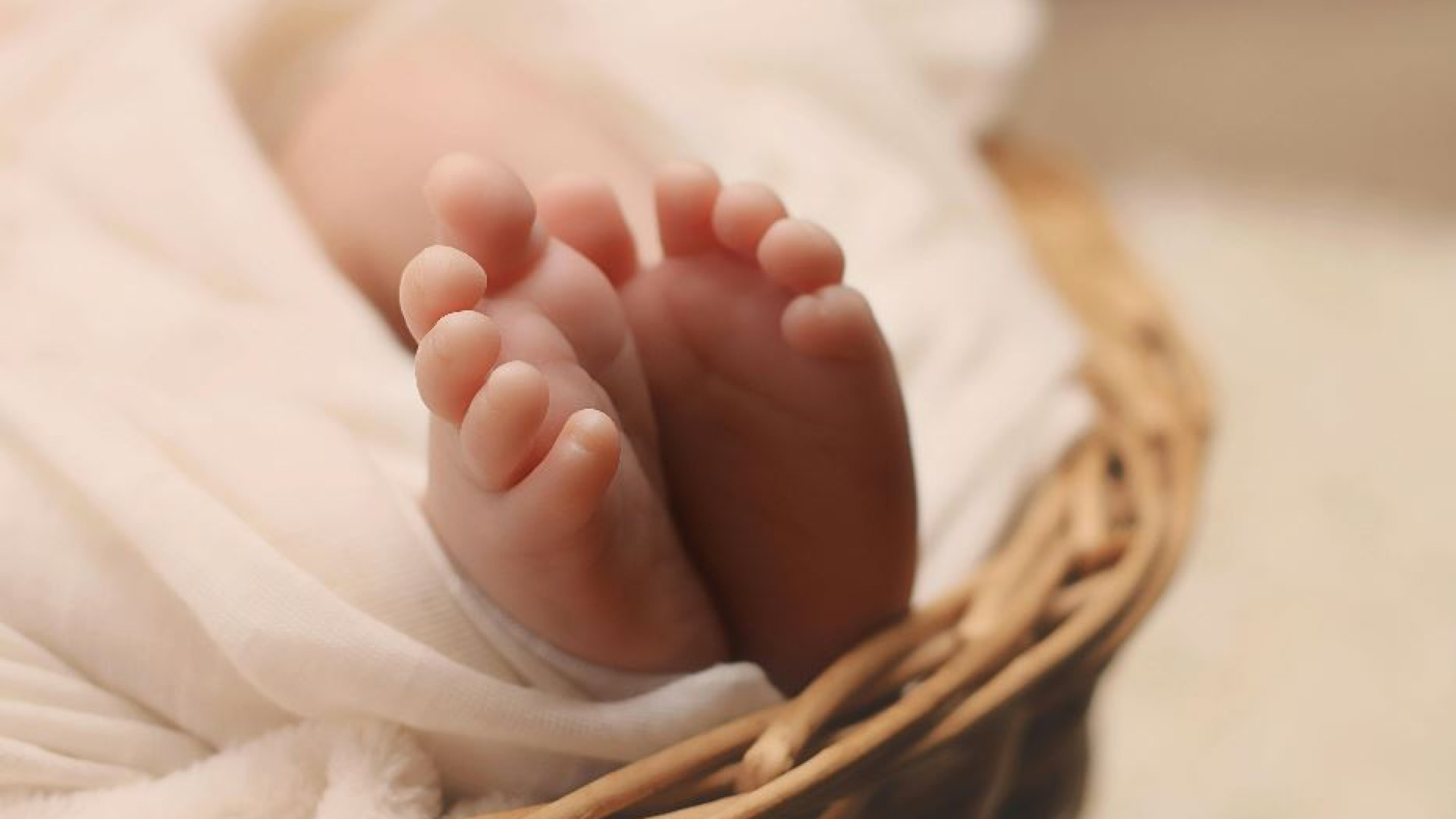Immagine di Da “Progetto Gemma” a “Vita nascente”: così si previene l’aborto