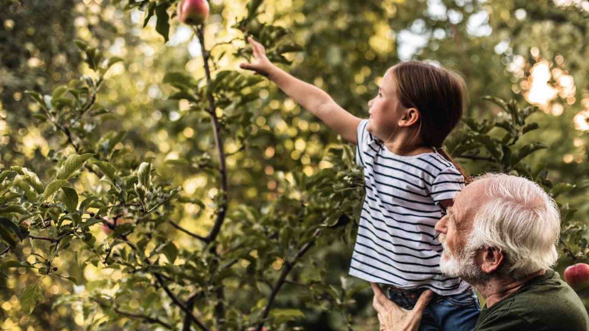 Immagine di Cari nonni, ecco come non sentirsi abbandonati