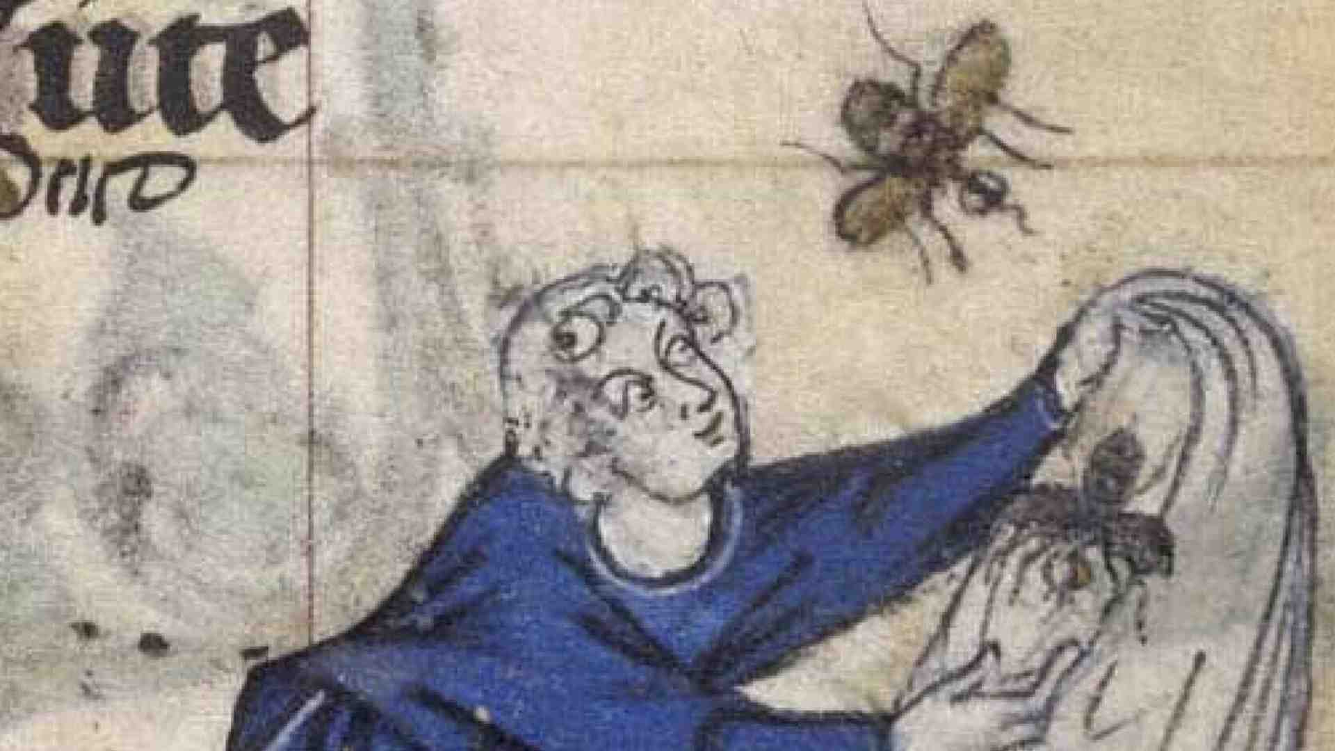 Immagine di Un'altra guida completa per prendersi un bel parassita