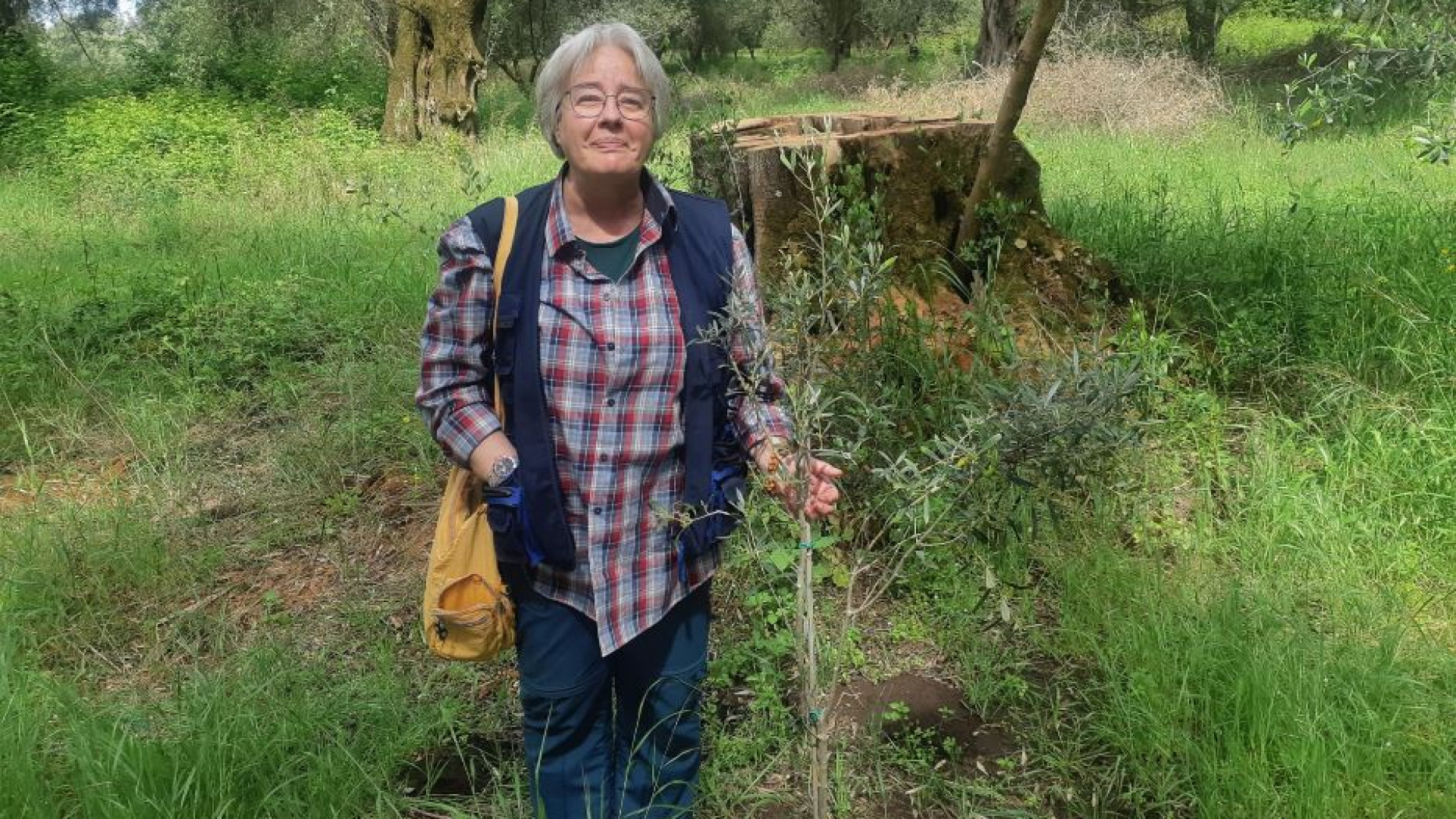 Immagine di Nuova intimidazione alla sua azienda. Ma lei resiste: non lascio la Calabria